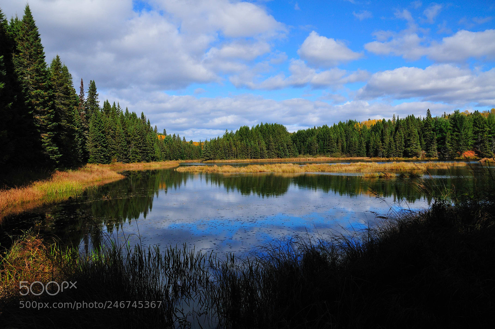 Nikon D300 sample photo. Algonquin park photography