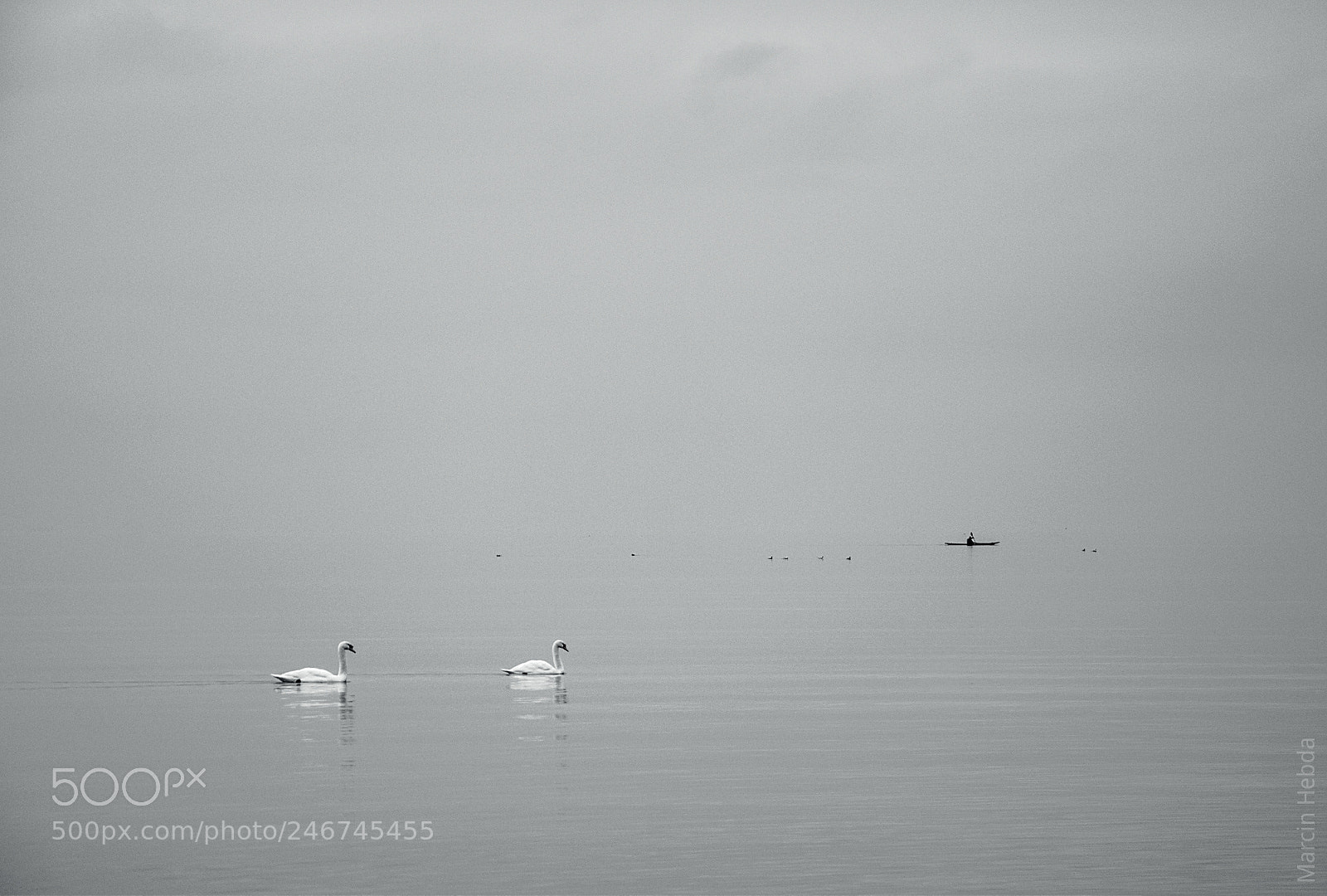 Nikon D5100 sample photo. #008 photography