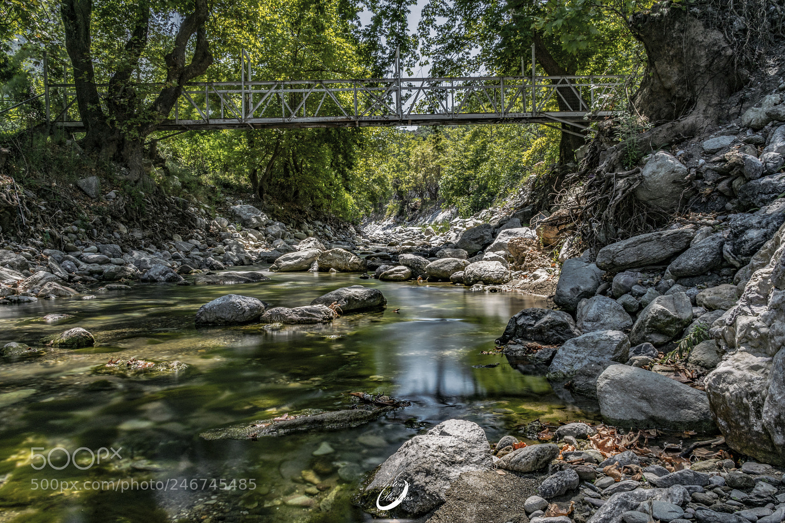 Nikon D3400 sample photo. River in summer photography