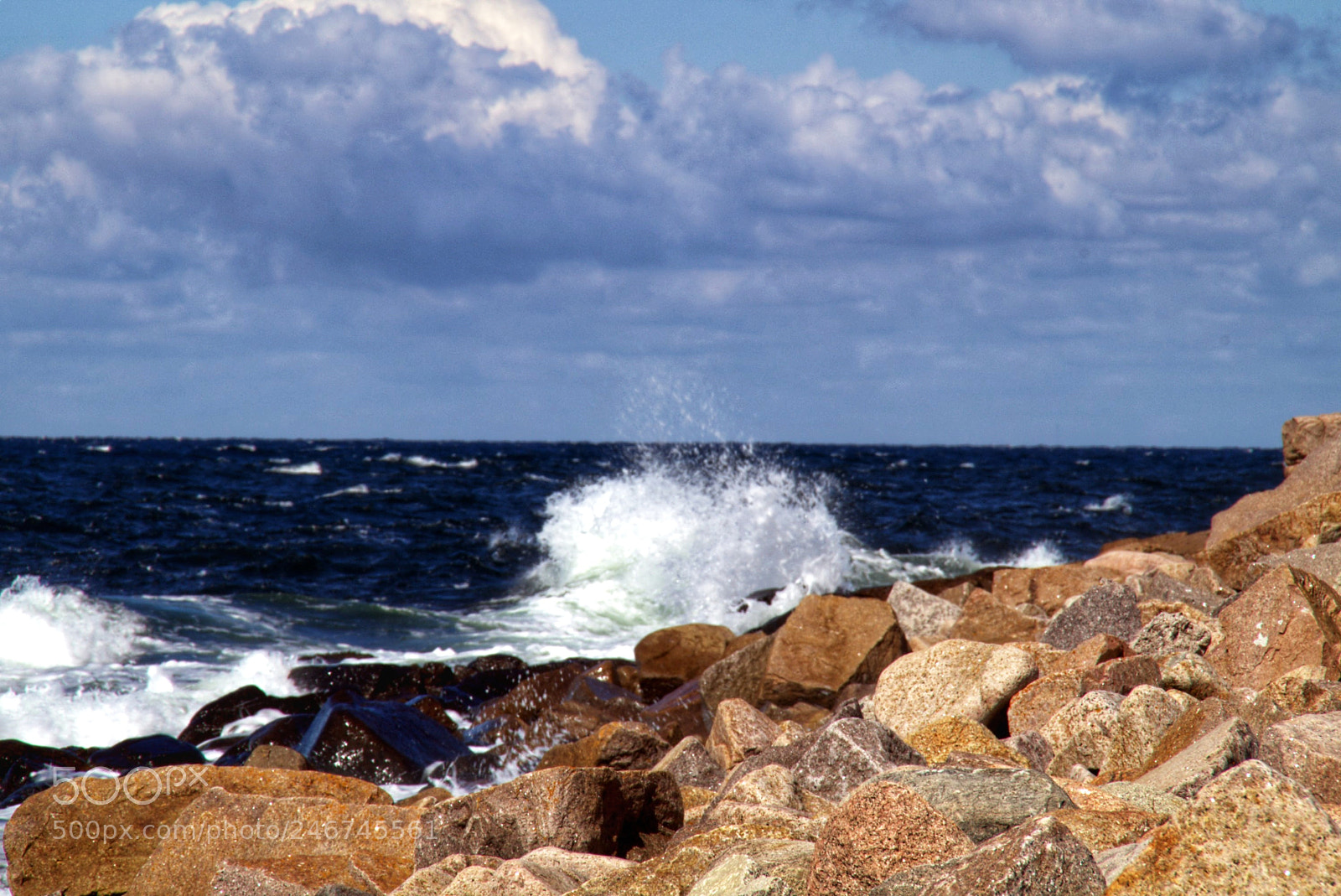 Sony SLT-A58 sample photo. Wild sea photography