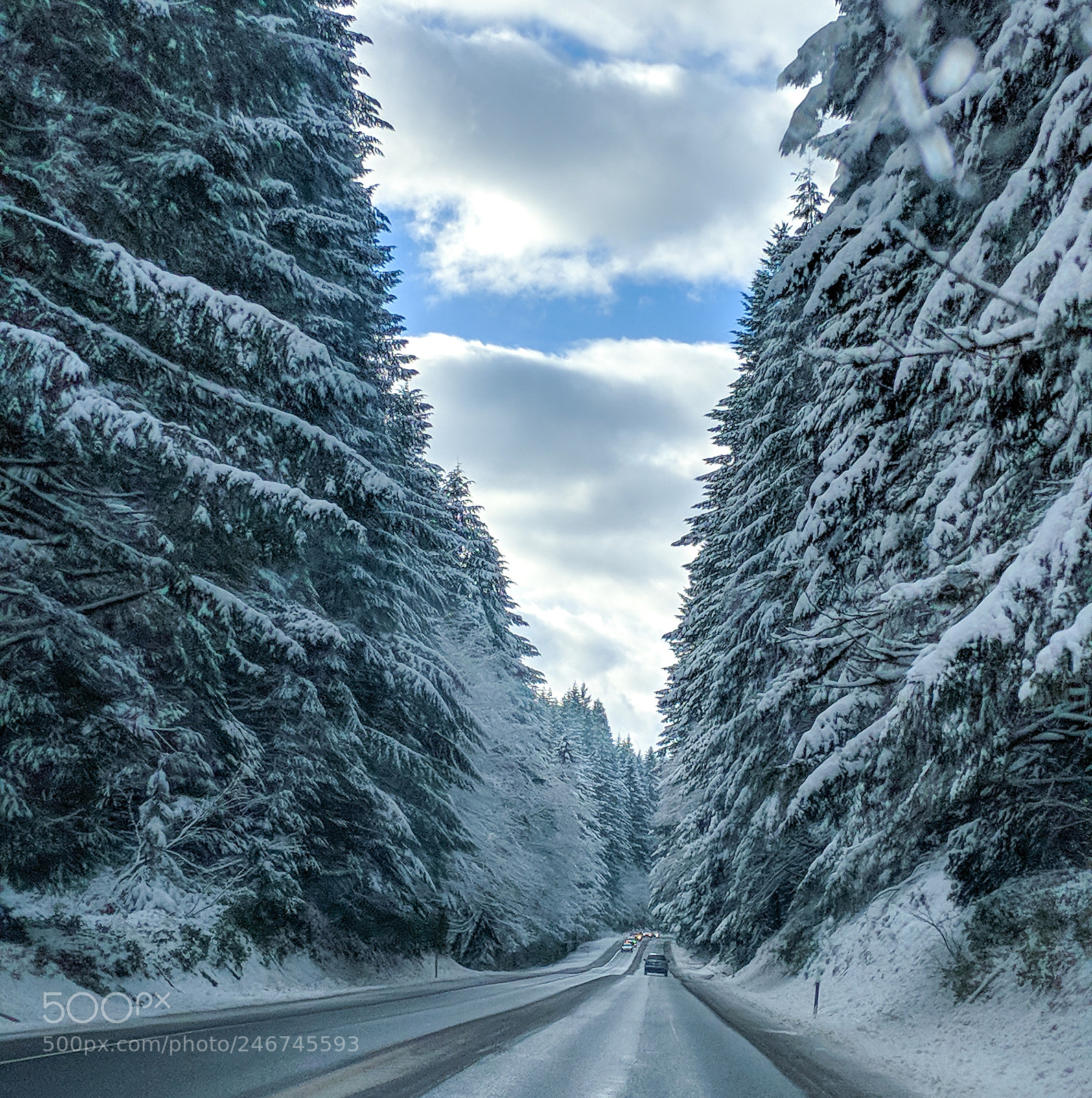 Google Pixel 2 sample photo. Winter wonder photography