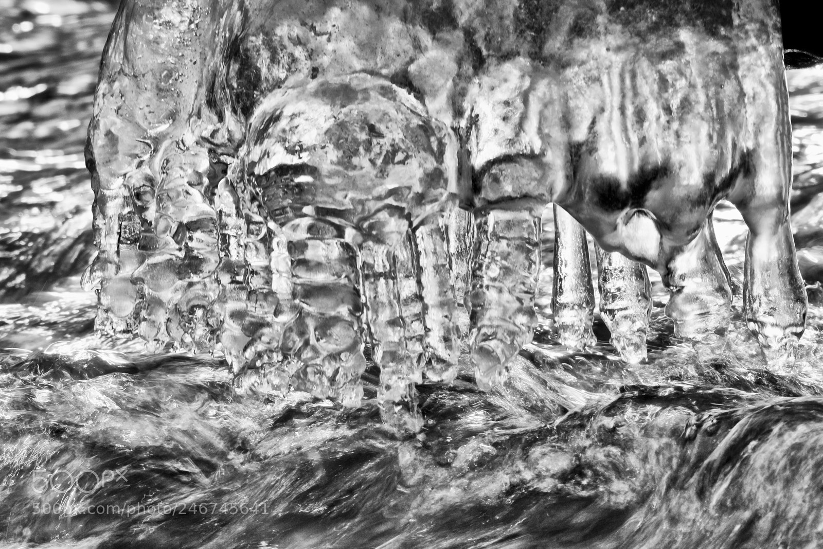 Canon EOS 60D sample photo. Coldness and water photography