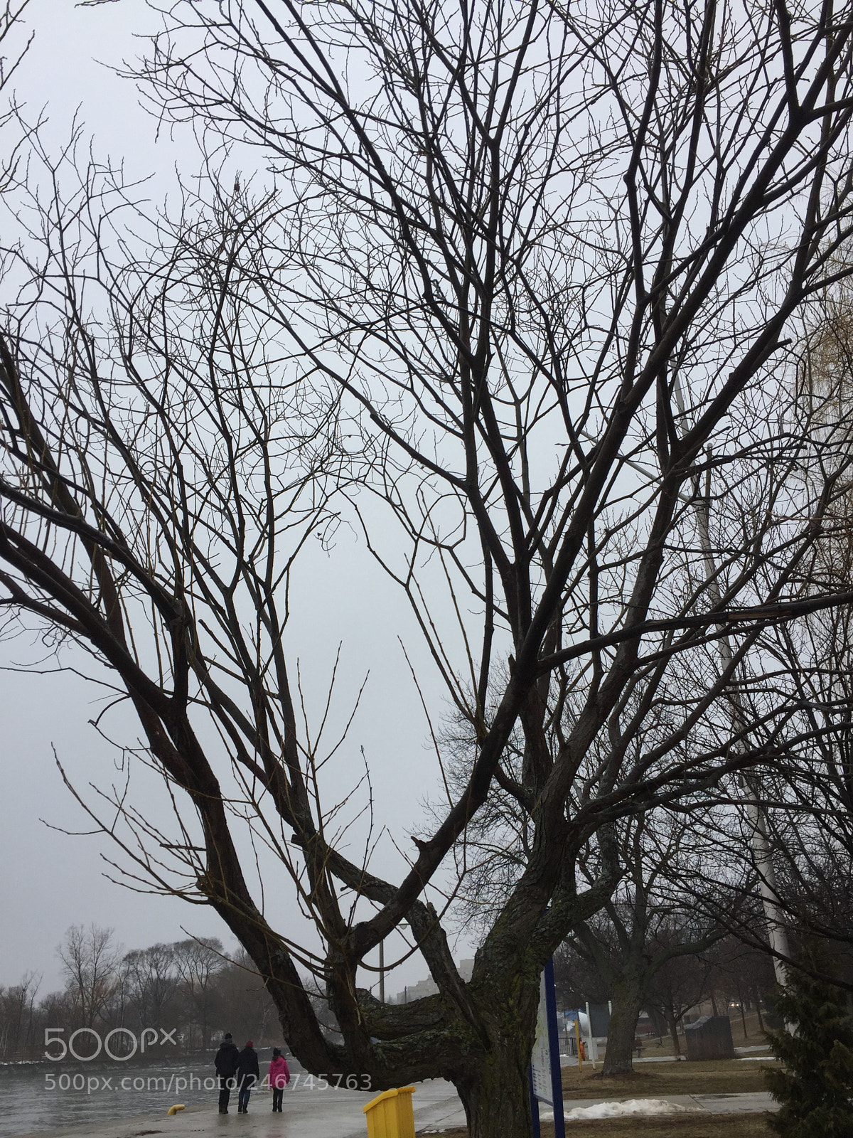 Apple iPhone 6 sample photo. Untitled photography