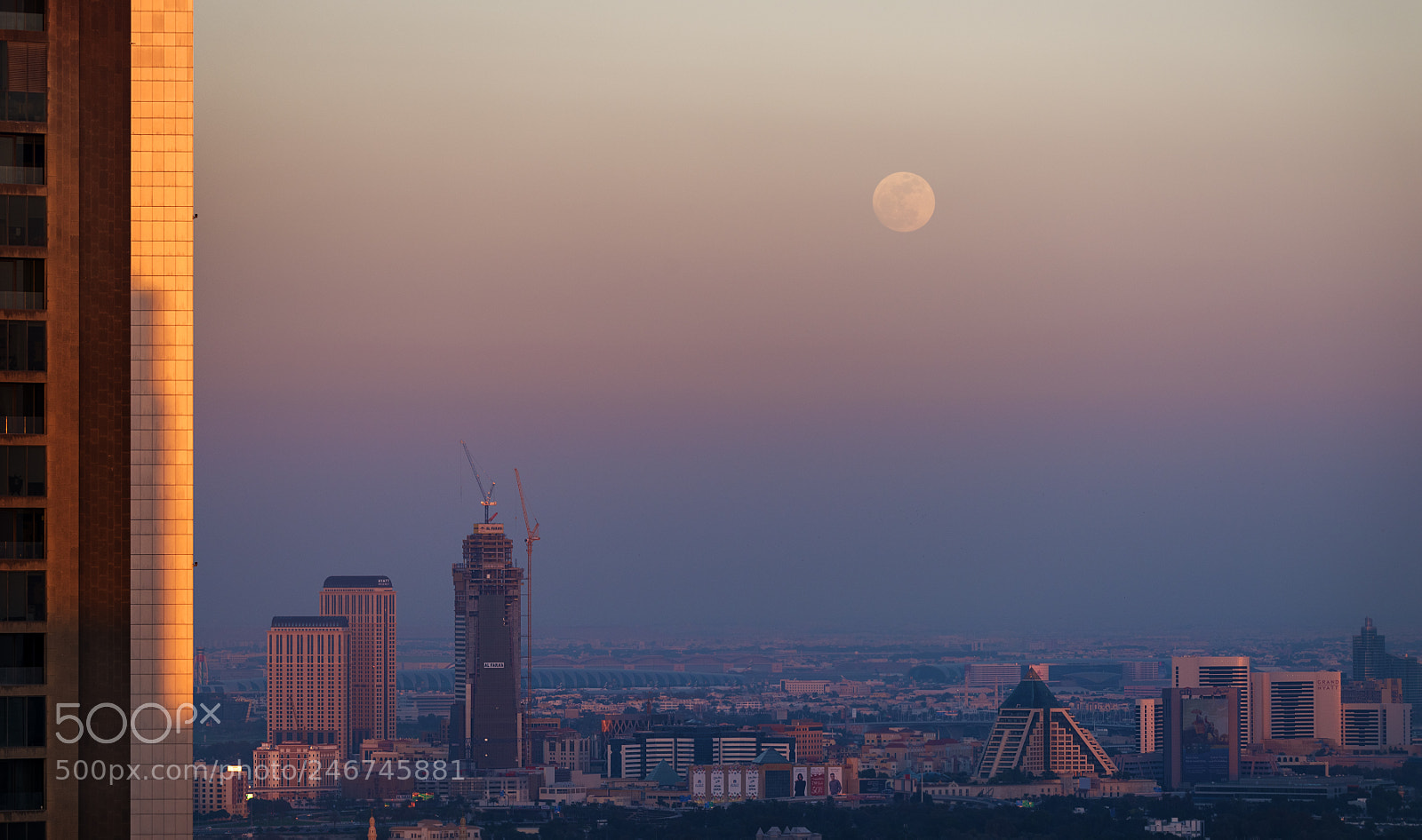 Nikon D810 sample photo. The other side photography