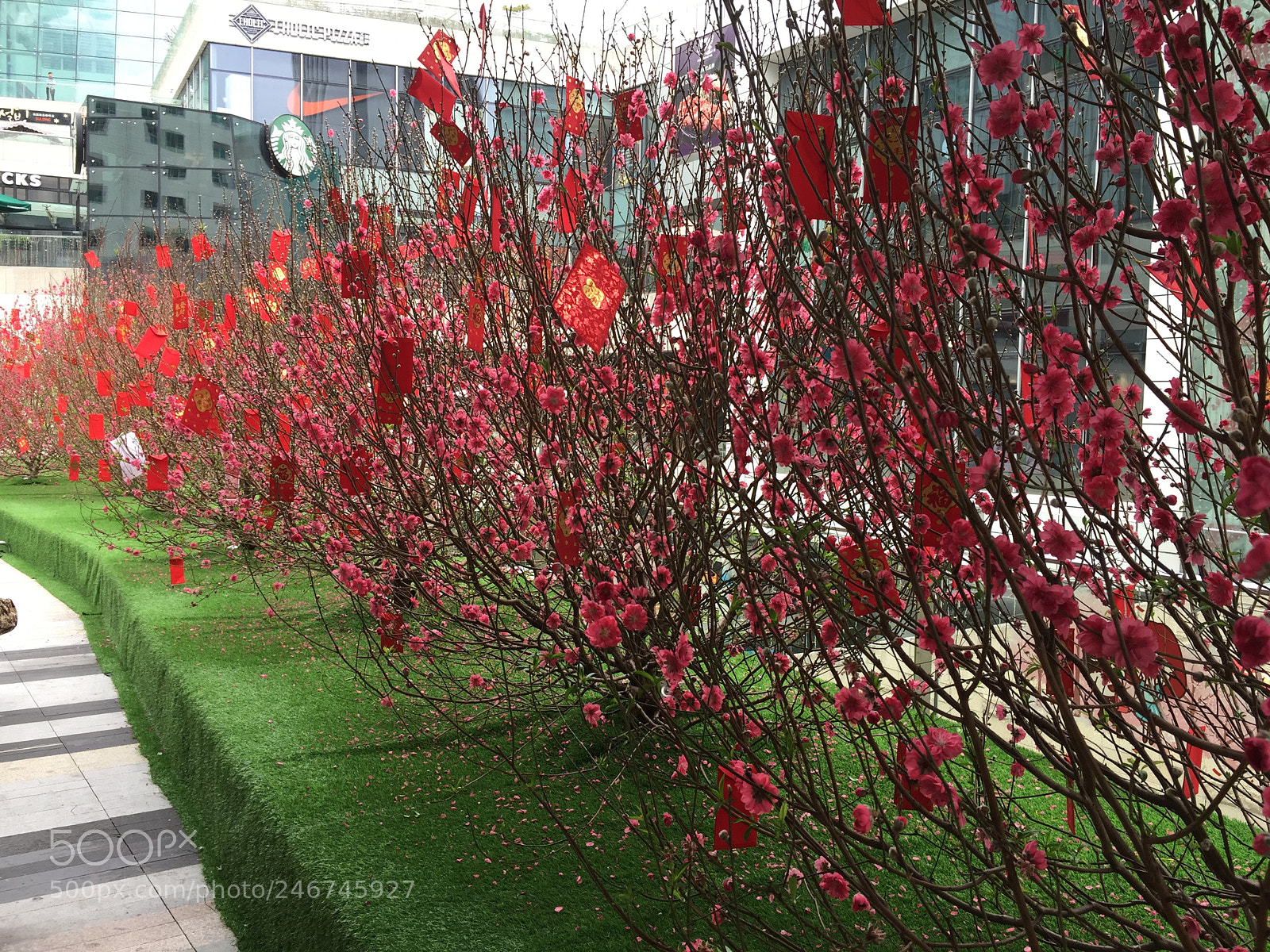 Apple iPhone 6 sample photo. Wish you have a photography