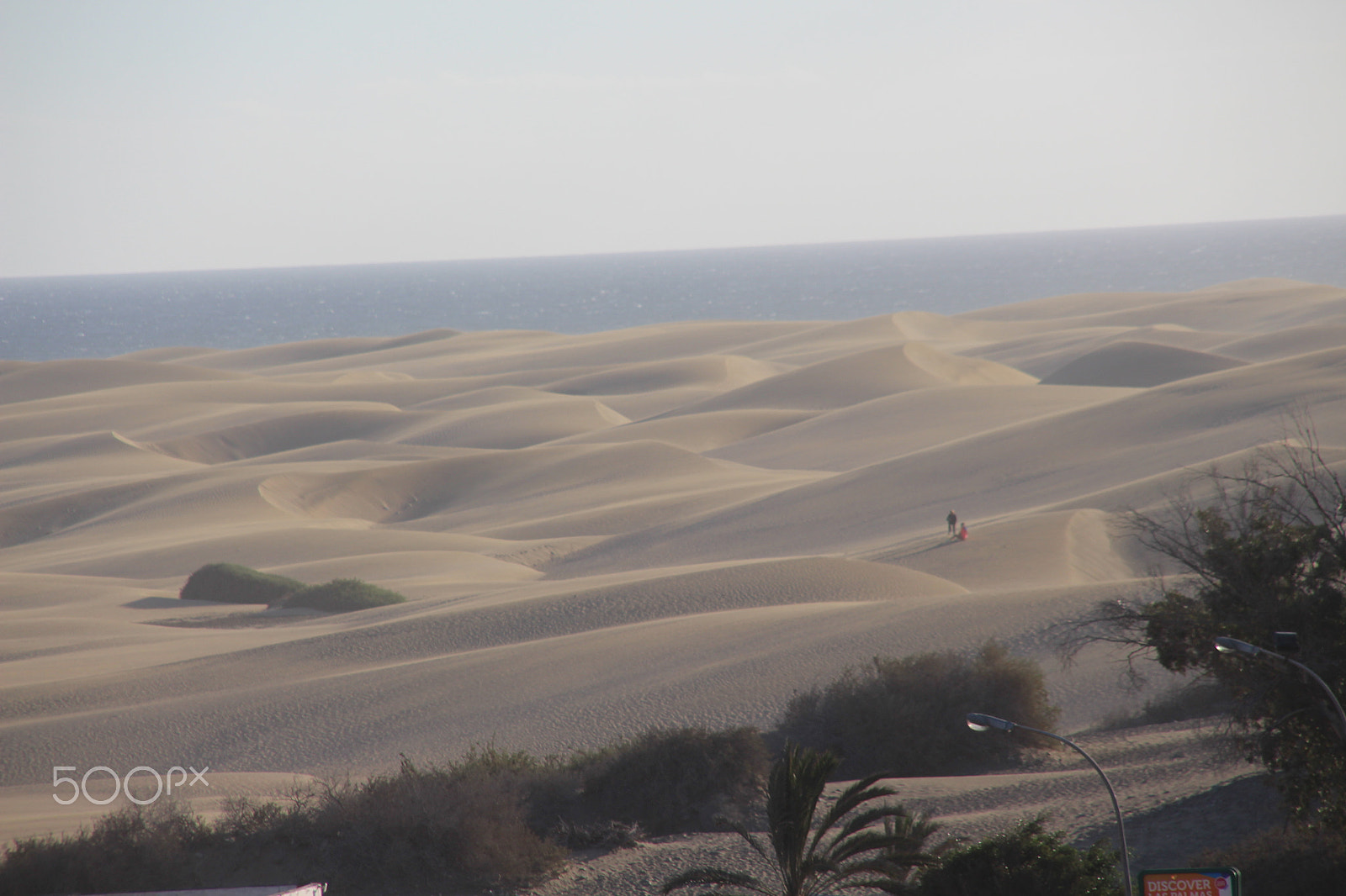 Sigma 18-200mm f/3.5-6.3 DC OS sample photo. "sandstorm" photography