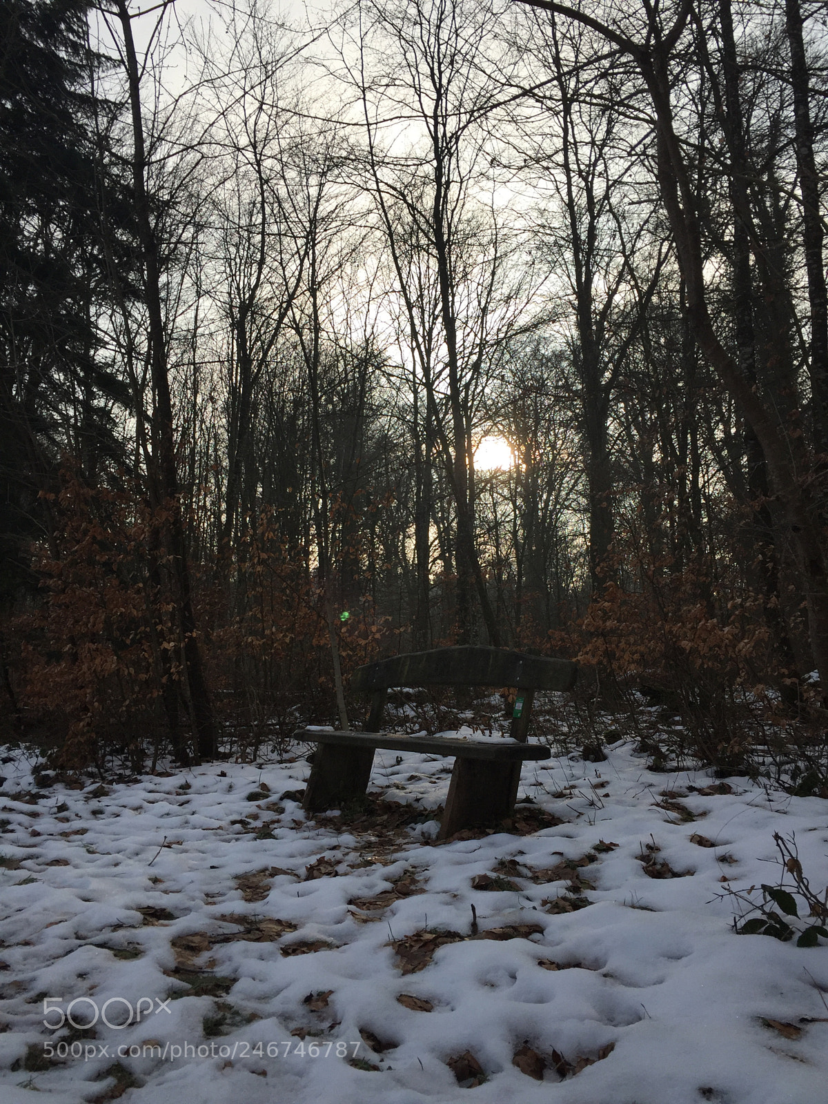 Apple iPhone 6 sample photo. Tuesday morning photography