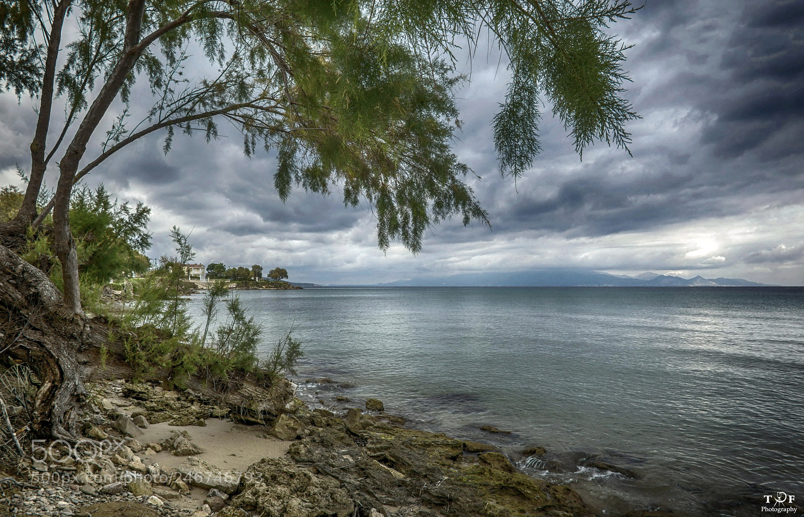 Nikon D610 sample photo. Untitled photography