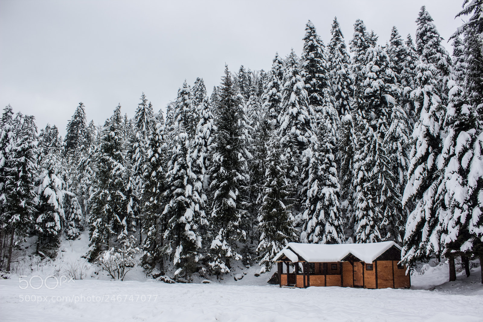 Canon EOS 600D (Rebel EOS T3i / EOS Kiss X5) sample photo. Lonely cottage photography