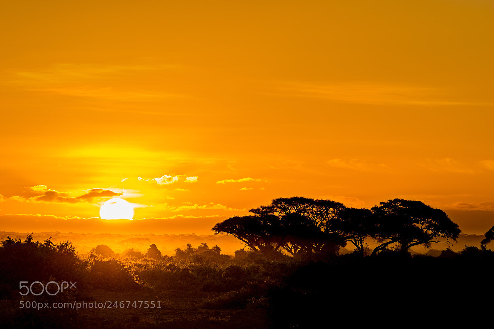 Canon EOS 7D Mark II sample photo. Sunset over africa photography