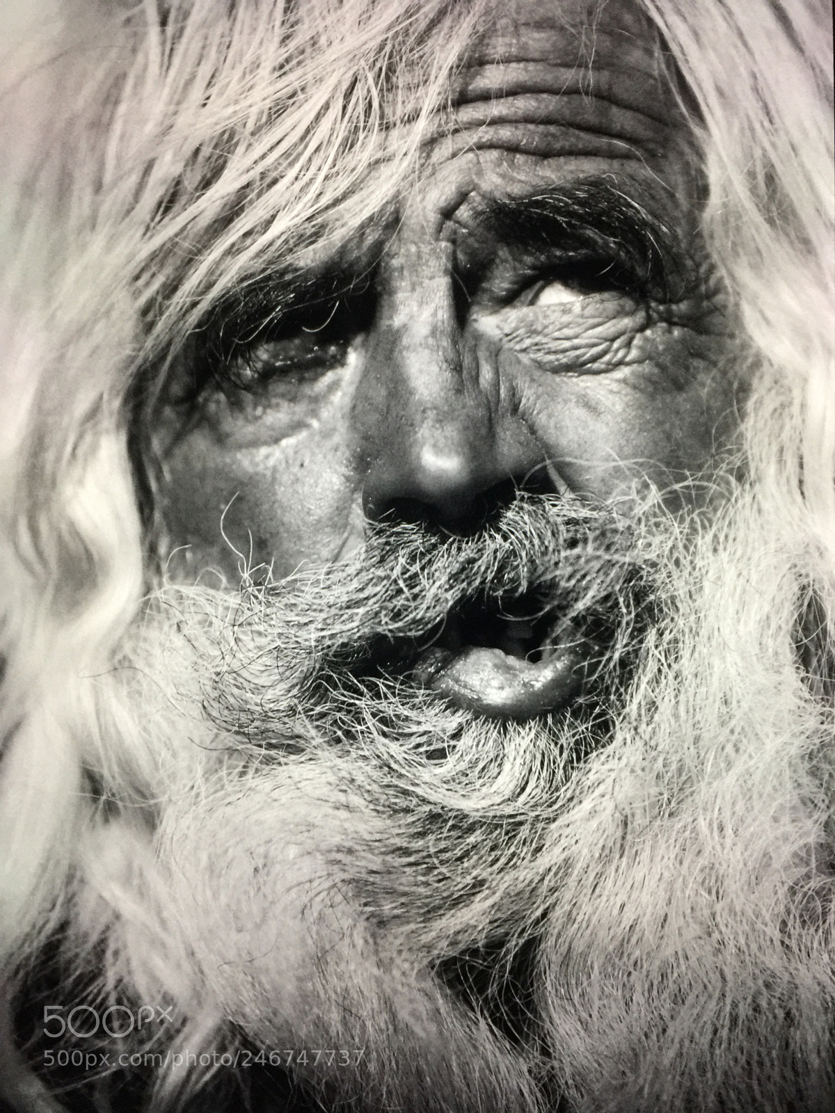 Apple iPhone 6 Plus sample photo. Untitled photography