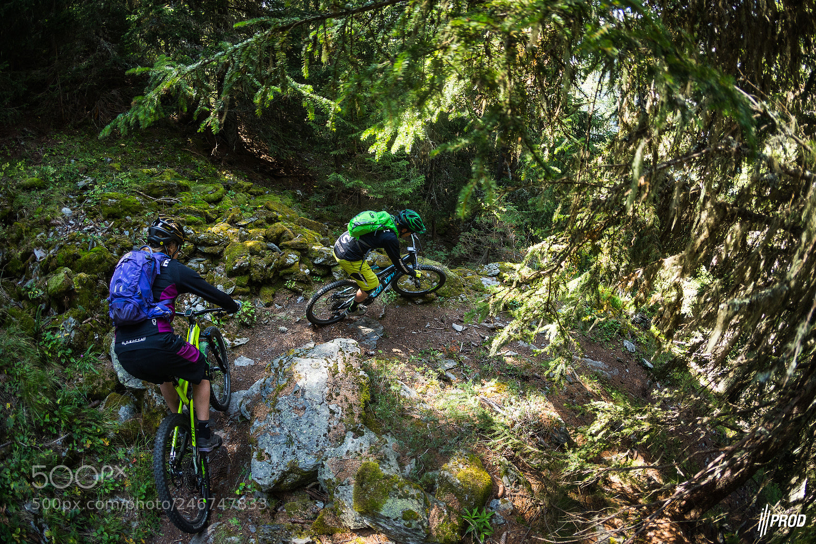 Canon EOS-1D X sample photo. Julbo transalp clementz je photography