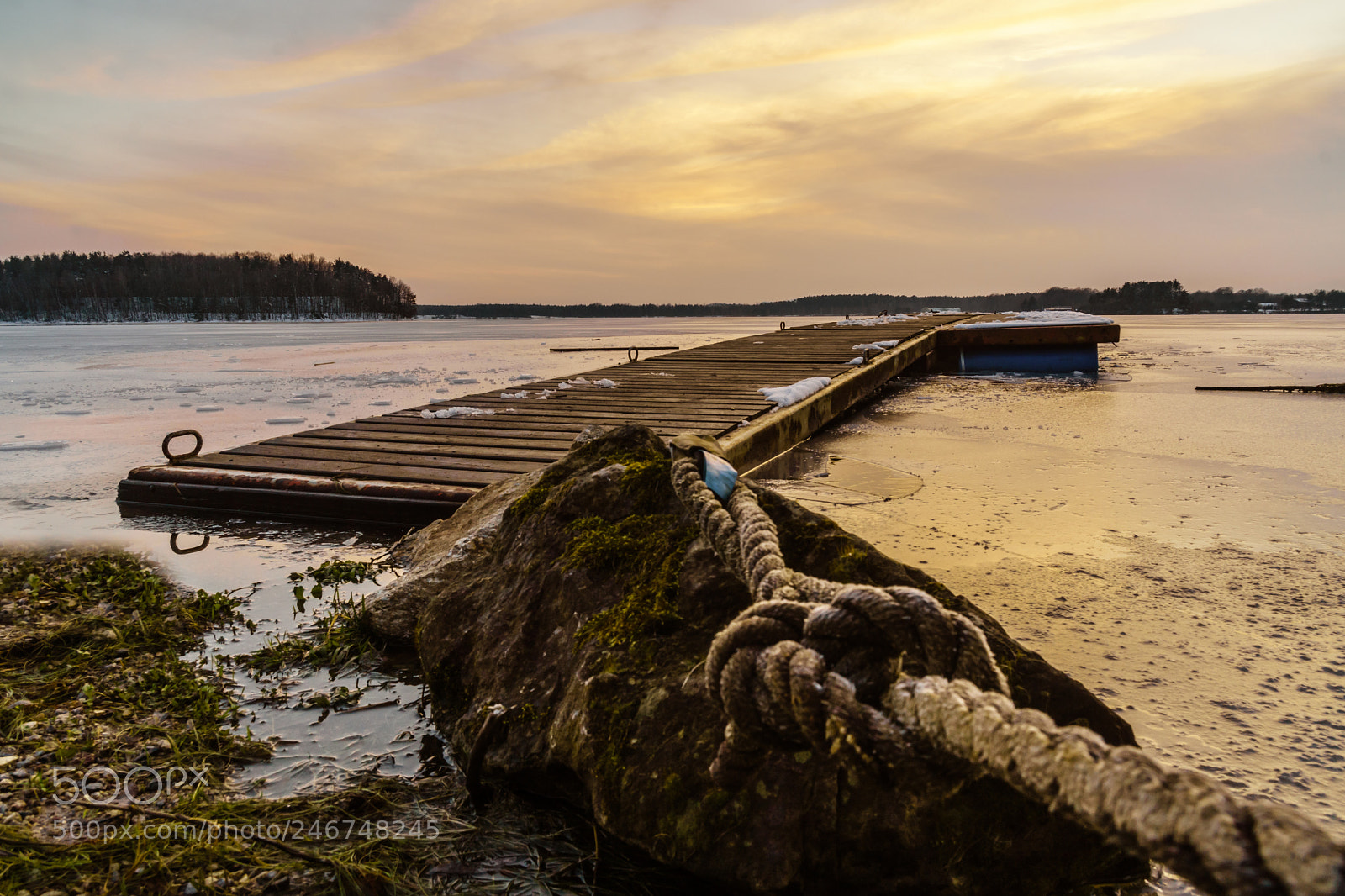 Sony a6500 sample photo. Steinberger see photography