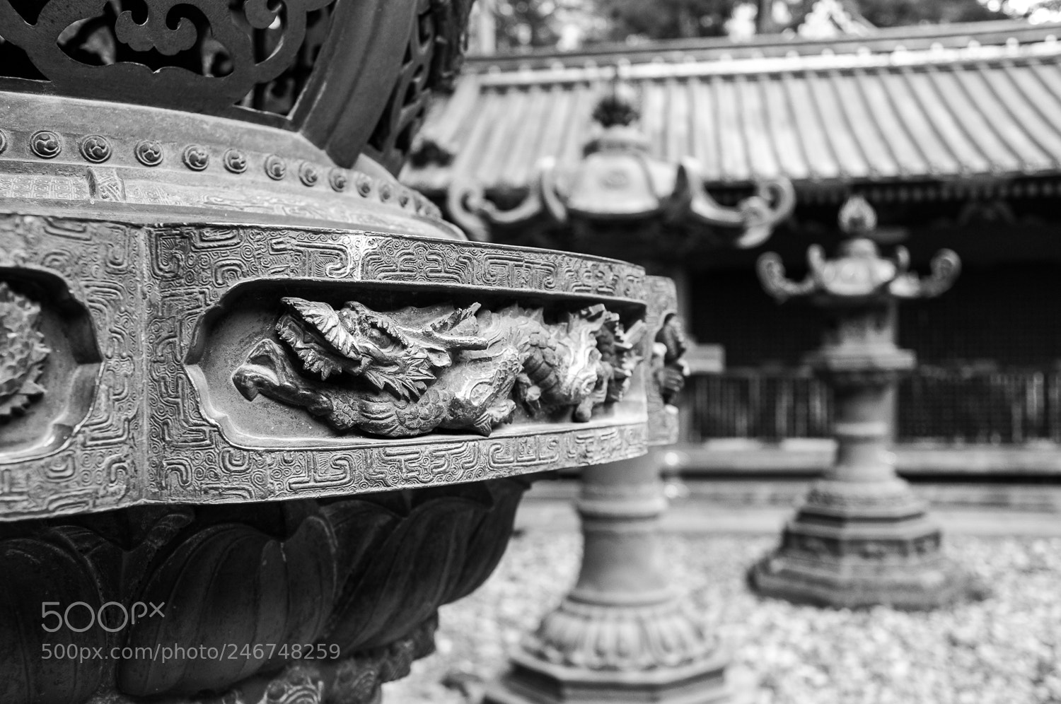 Nikon D90 sample photo. Untitled photography