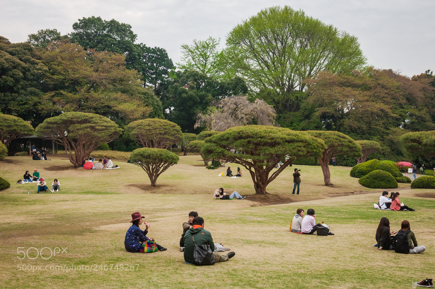 Nikon D90 sample photo. Untitled photography