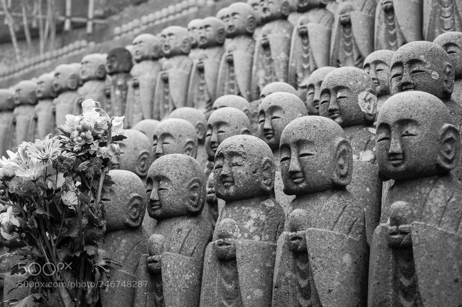 Nikon D90 sample photo. Untitled photography