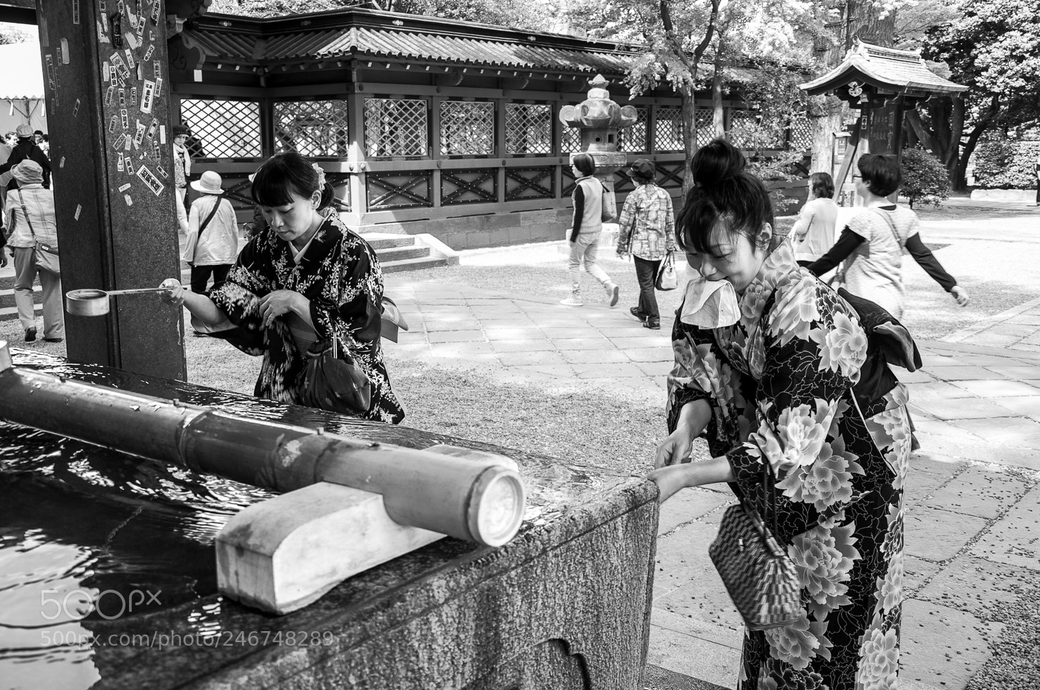 Nikon D90 sample photo. Untitled photography