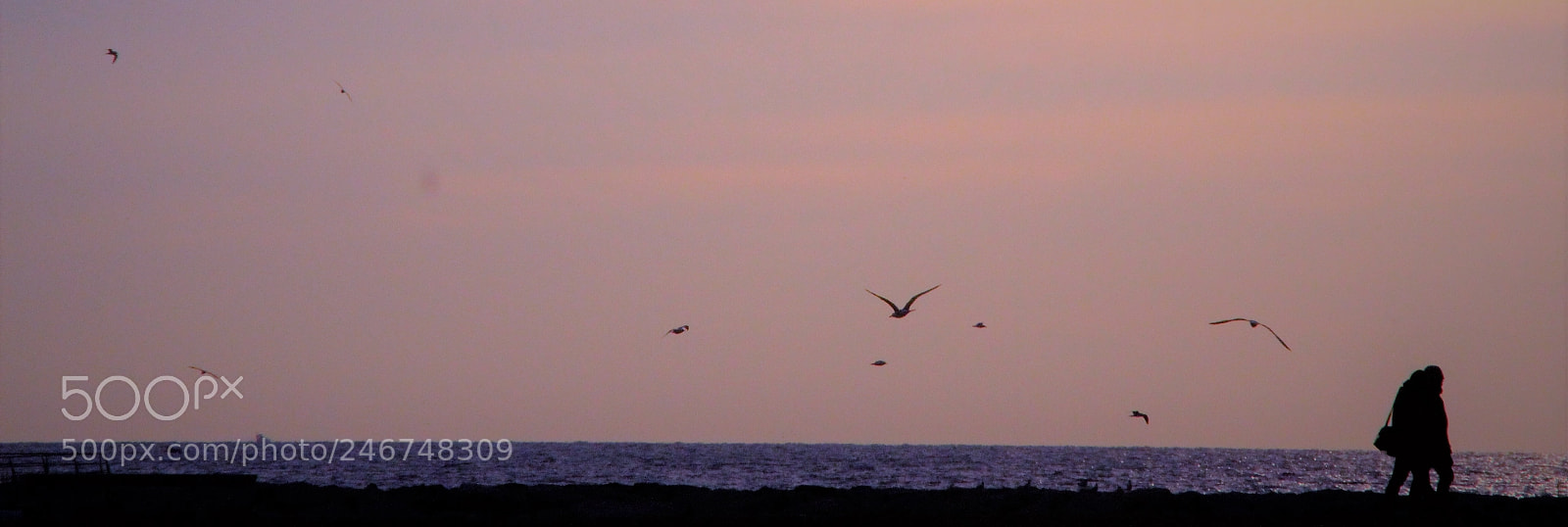 Canon EOS 700D (EOS Rebel T5i / EOS Kiss X7i) sample photo. A point of departure photography