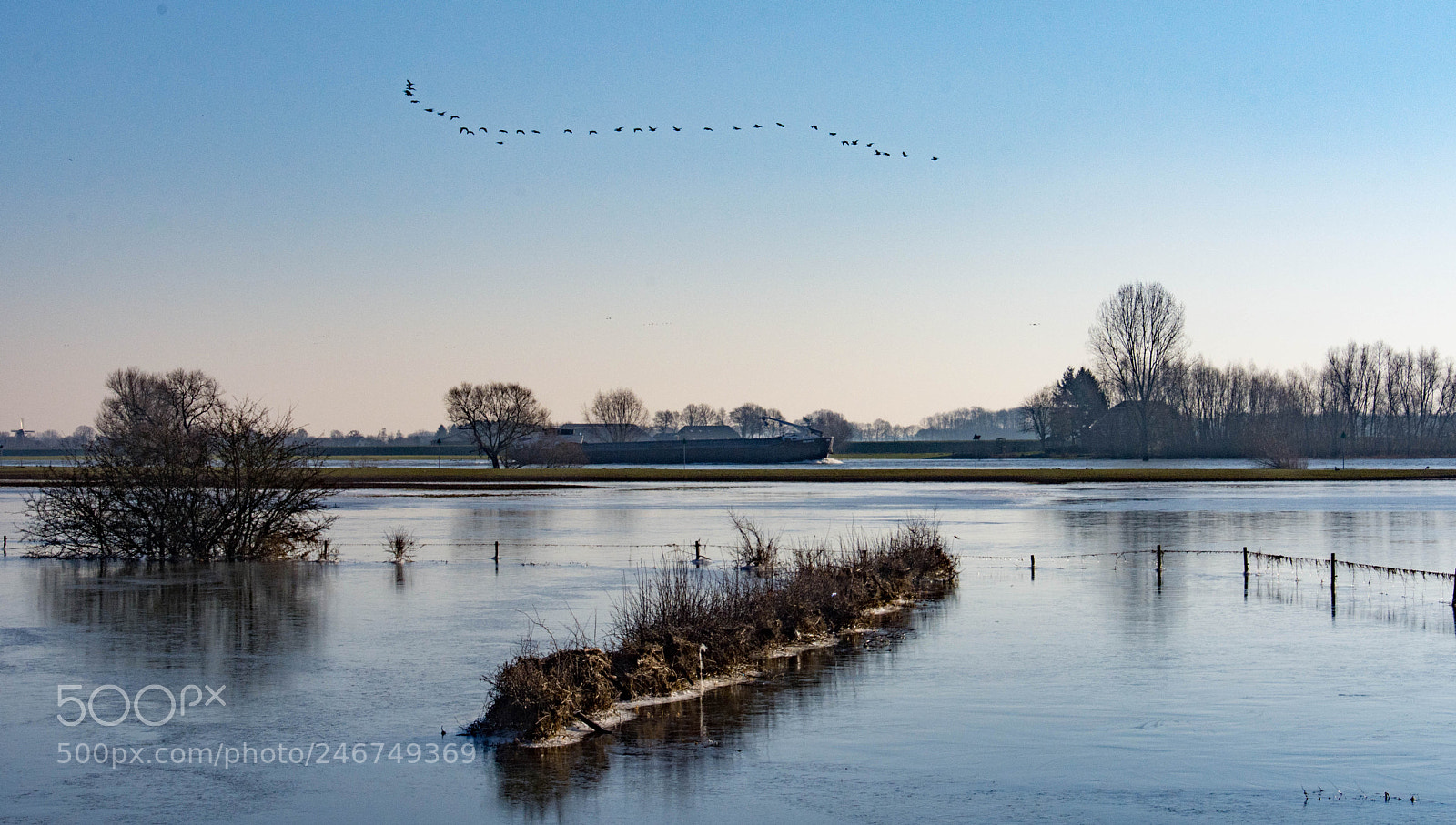 Nikon D7200 sample photo. Birds, boat, bush photography