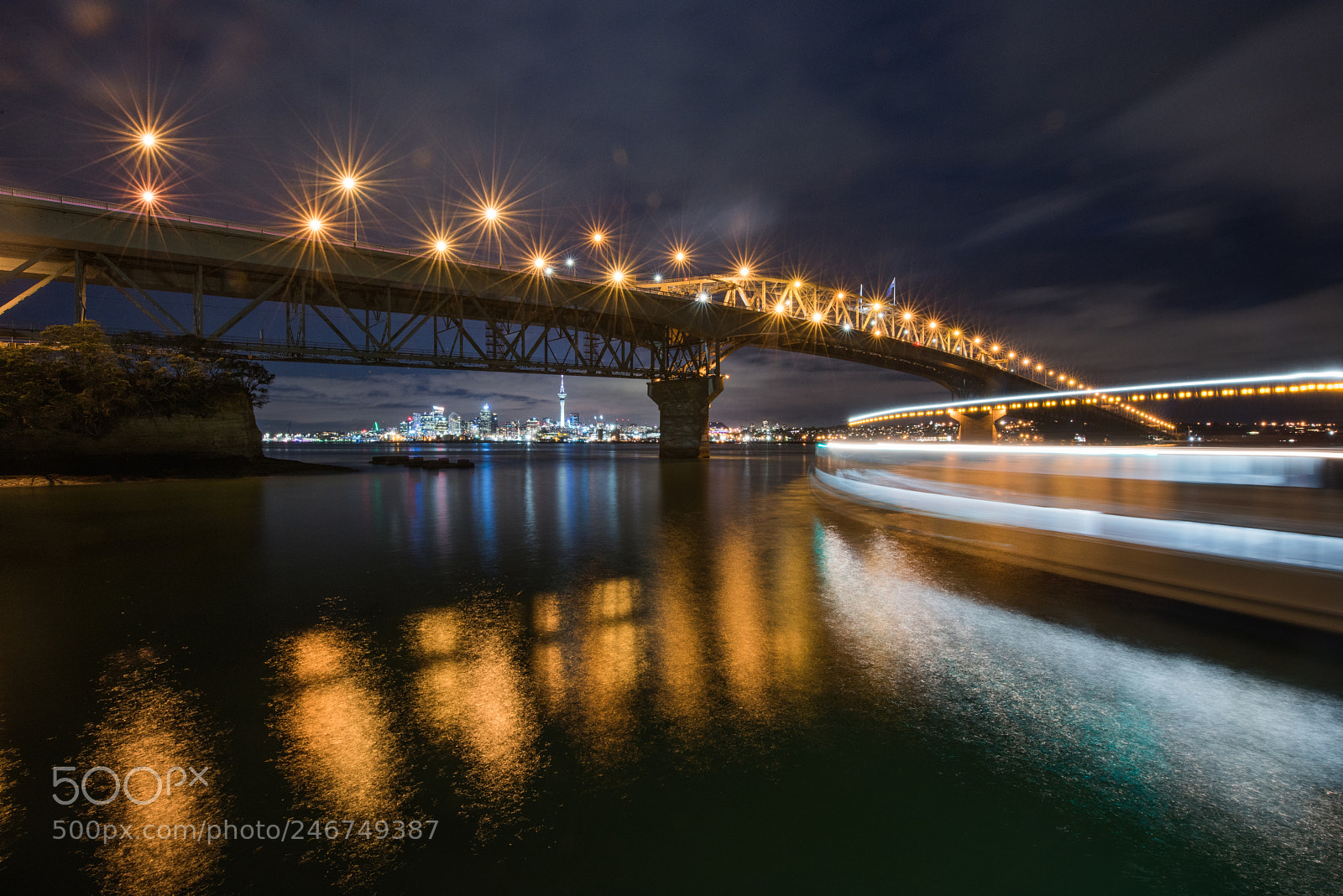 Nikon D810 sample photo. Late arrival photography
