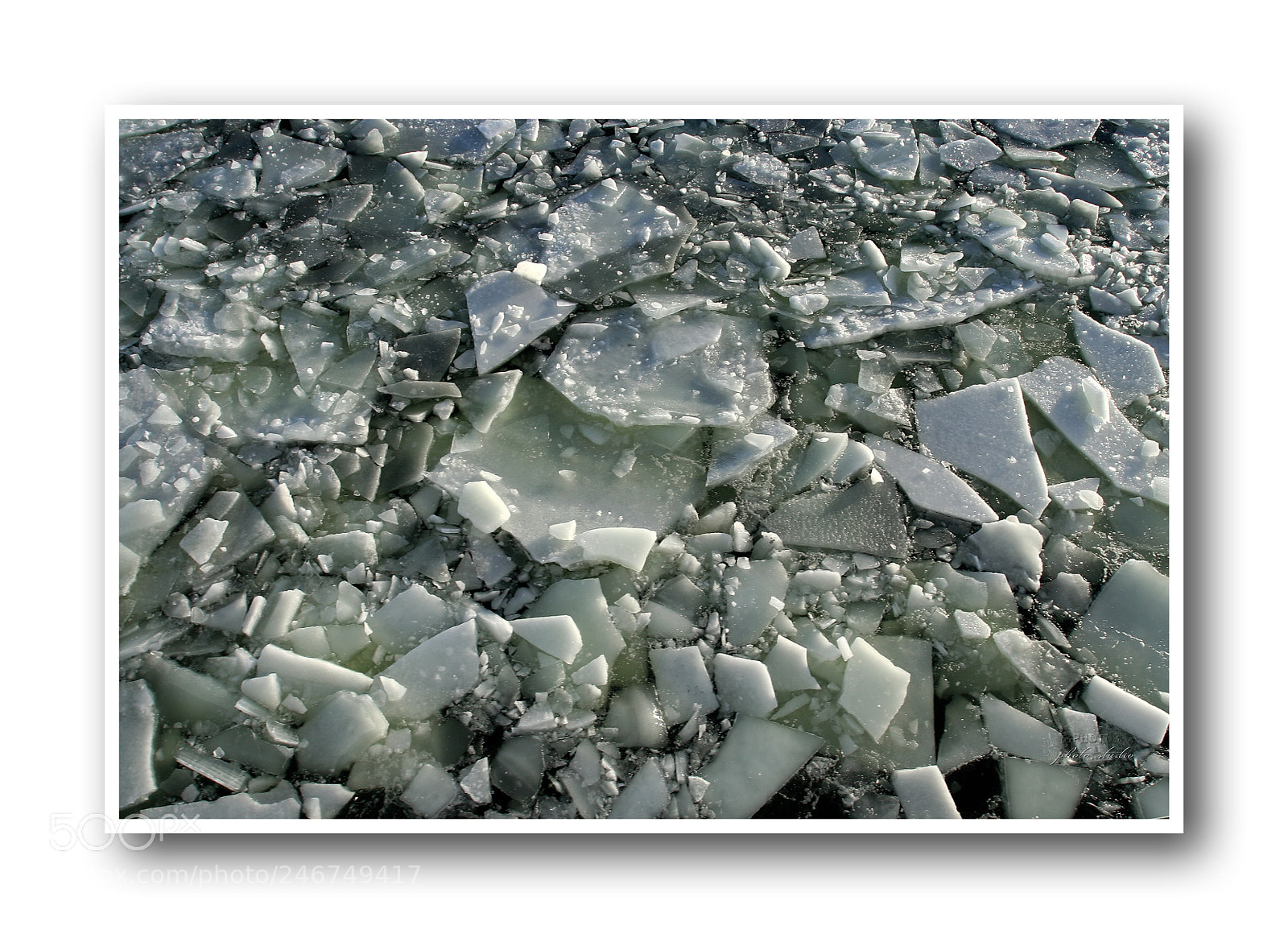 Canon EOS 350D (EOS Digital Rebel XT / EOS Kiss Digital N) sample photo. Ice floes photography