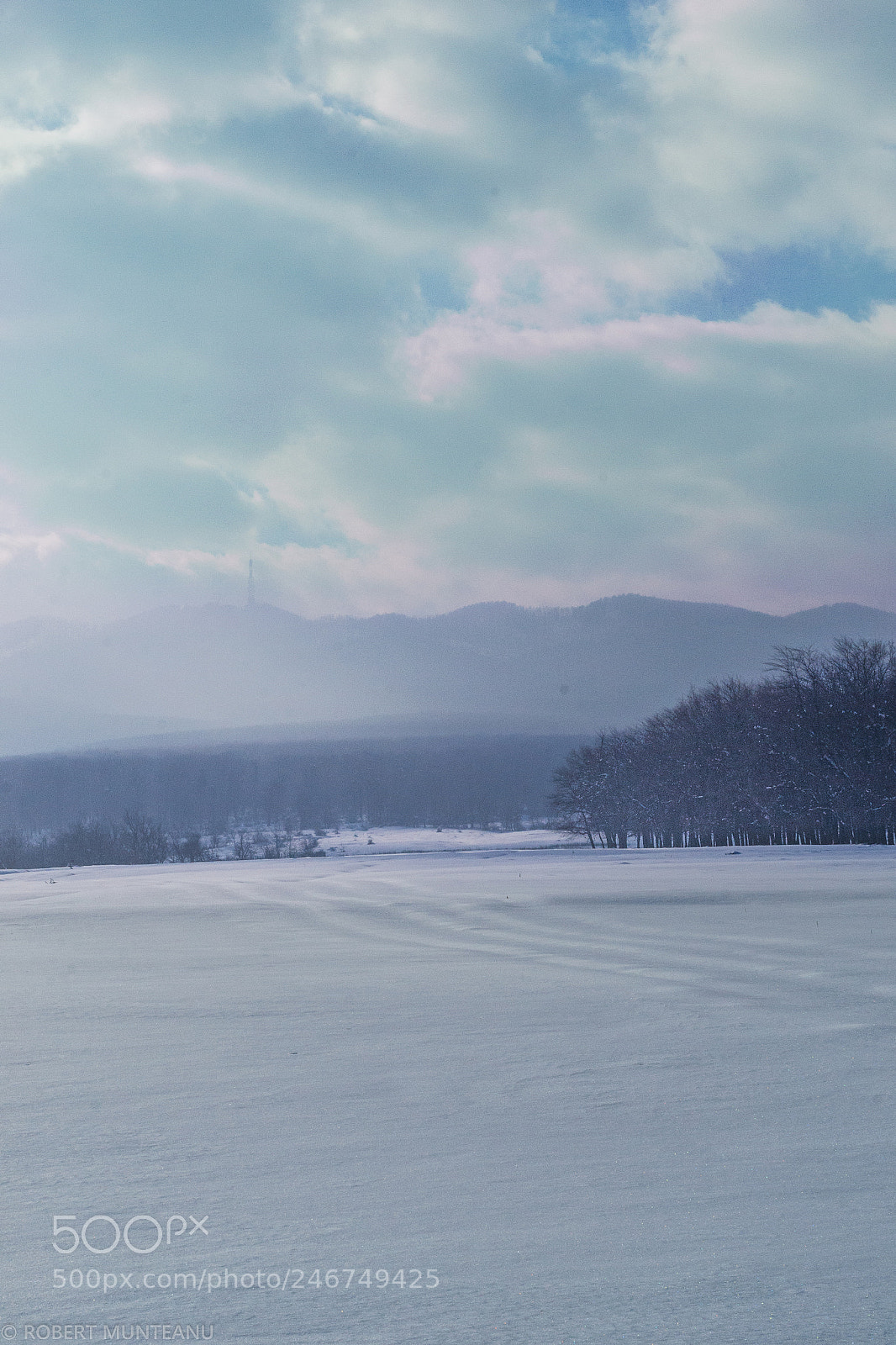 Nikon D3100 sample photo. Untitled photography