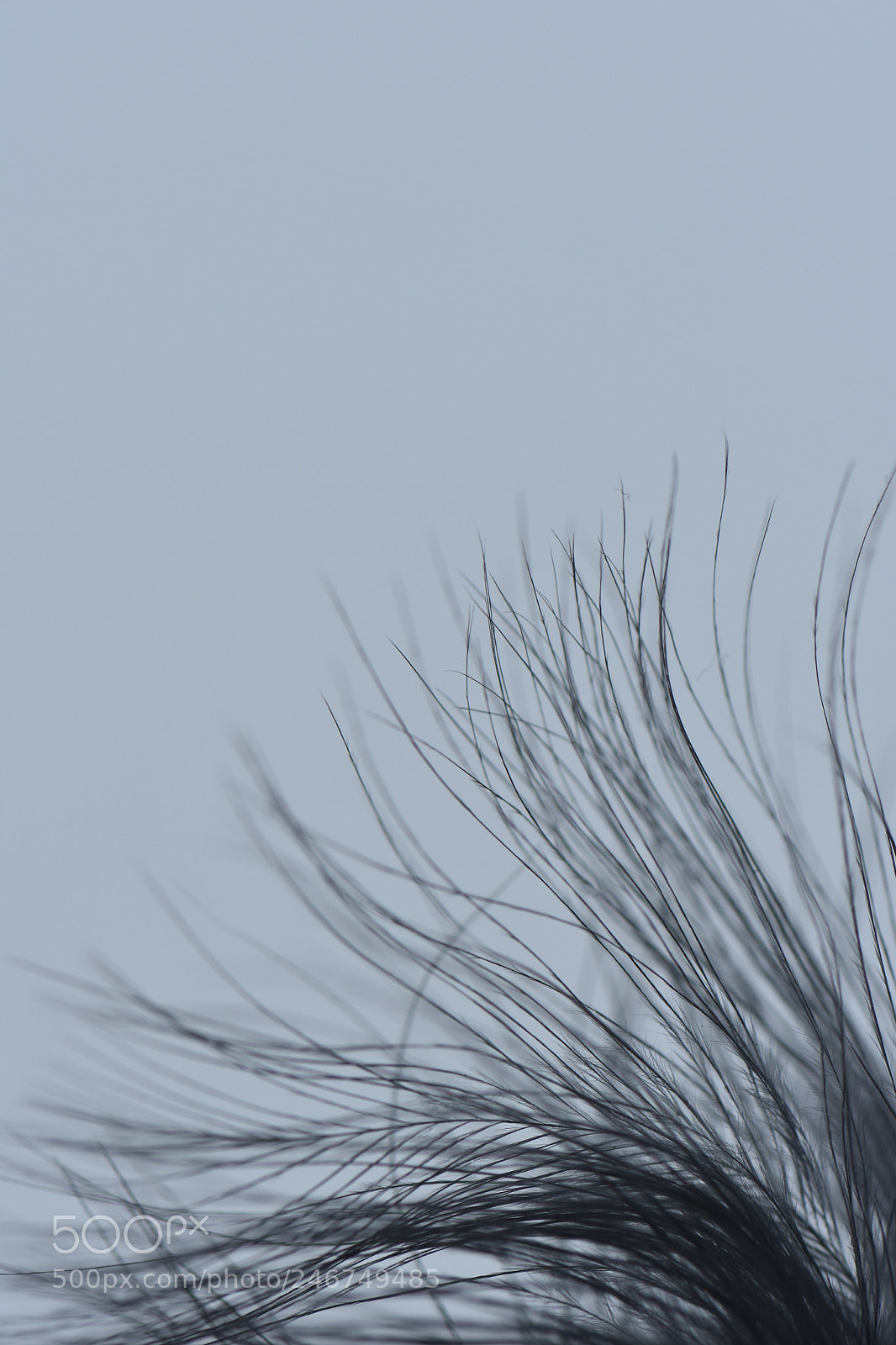 Nikon D3400 sample photo. Légèreté photography