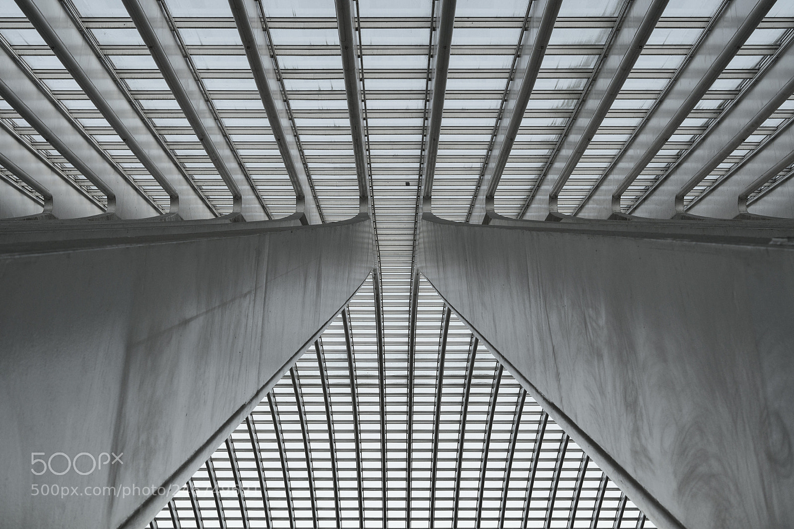 Sony a7R II sample photo. Interplay of lines. photography