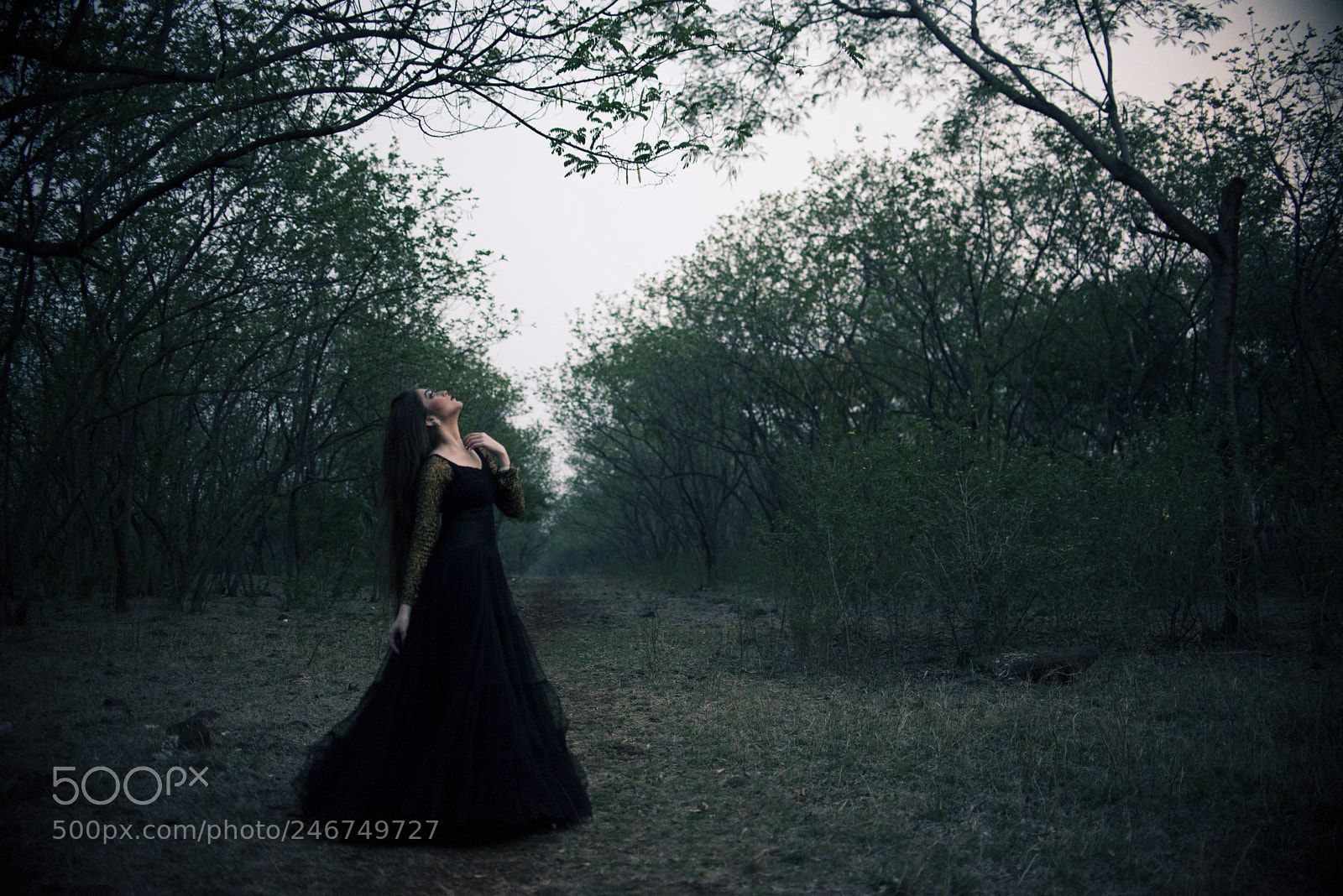 Nikon D800 sample photo. Into the wild photography