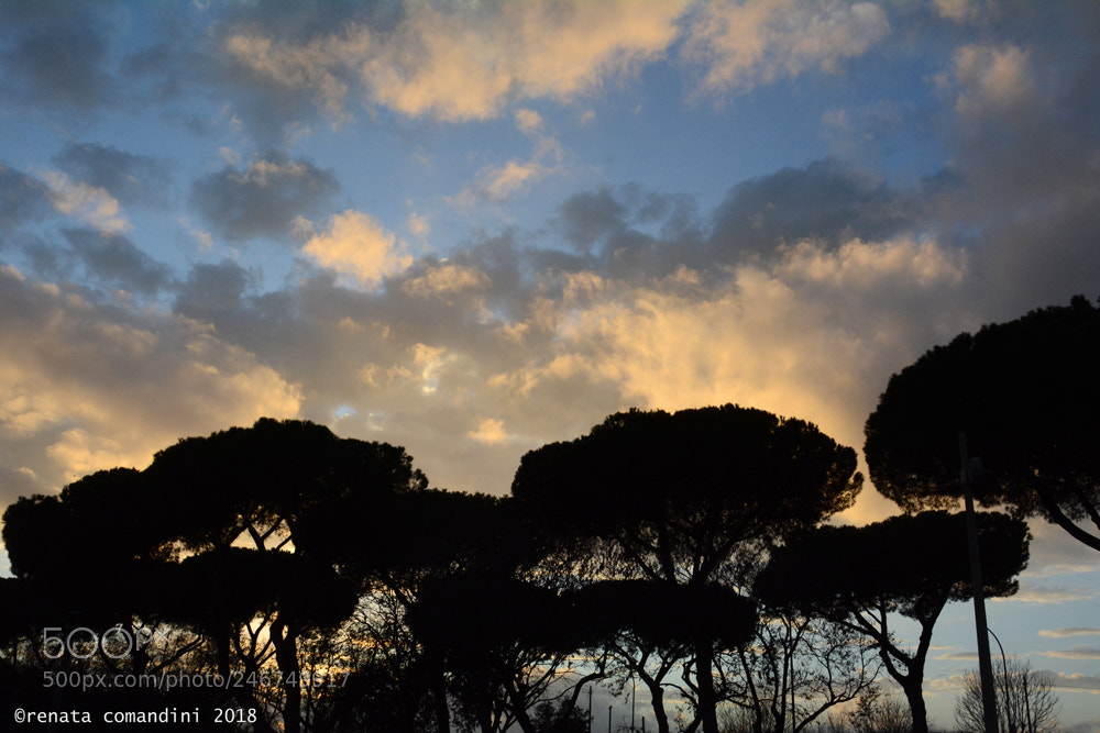 Nikon D5200 sample photo. Cieli di roma 2 photography