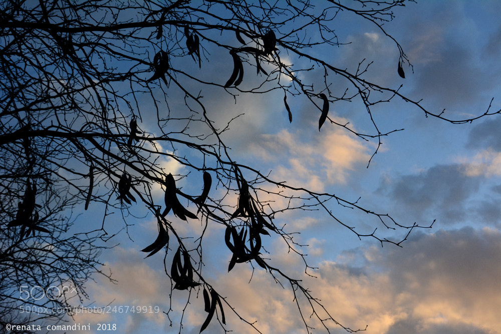 Nikon D5200 sample photo. Cieli di roma 1 photography