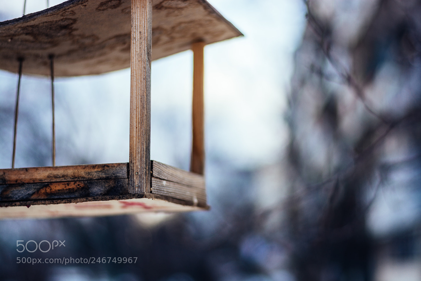 Nikon D7100 sample photo. Coldness photography