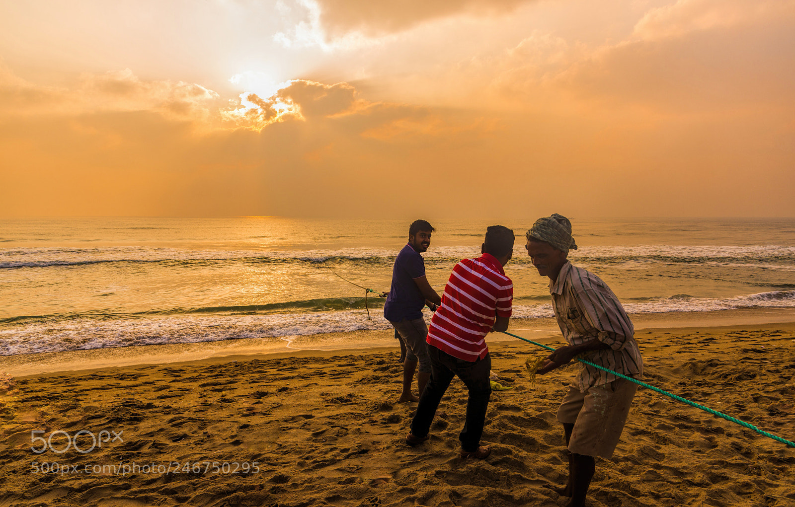 Nikon D610 sample photo. Lend a helping hand... photography