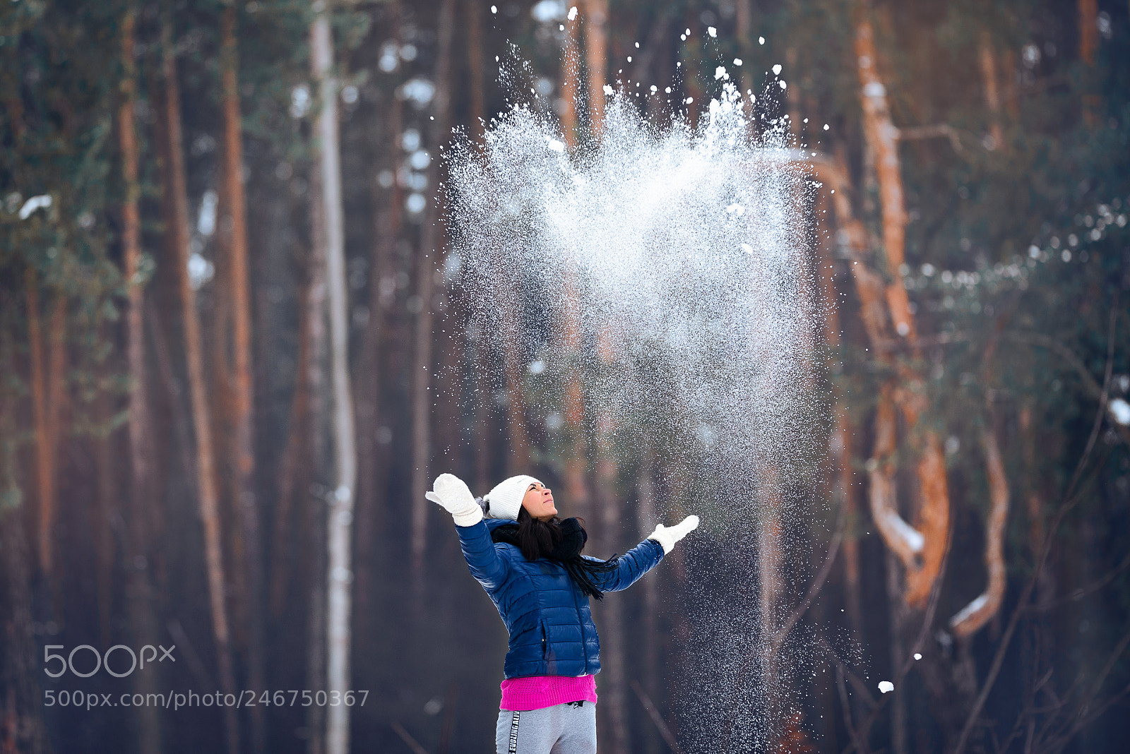 Nikon D610 sample photo. Beautiful winter photography