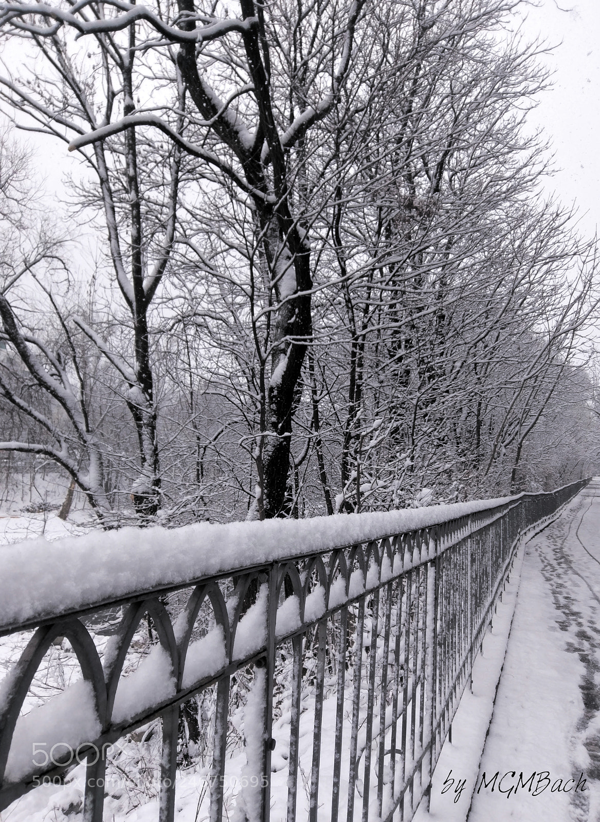 HTC 10 sample photo. Winter came back photography