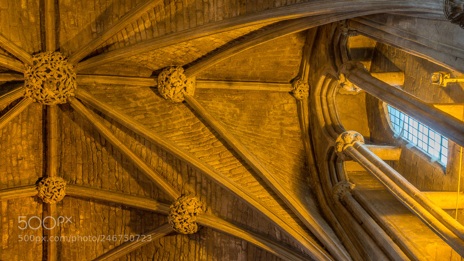 Sony Alpha NEX-7 sample photo. Pershore abbey ceiling photography