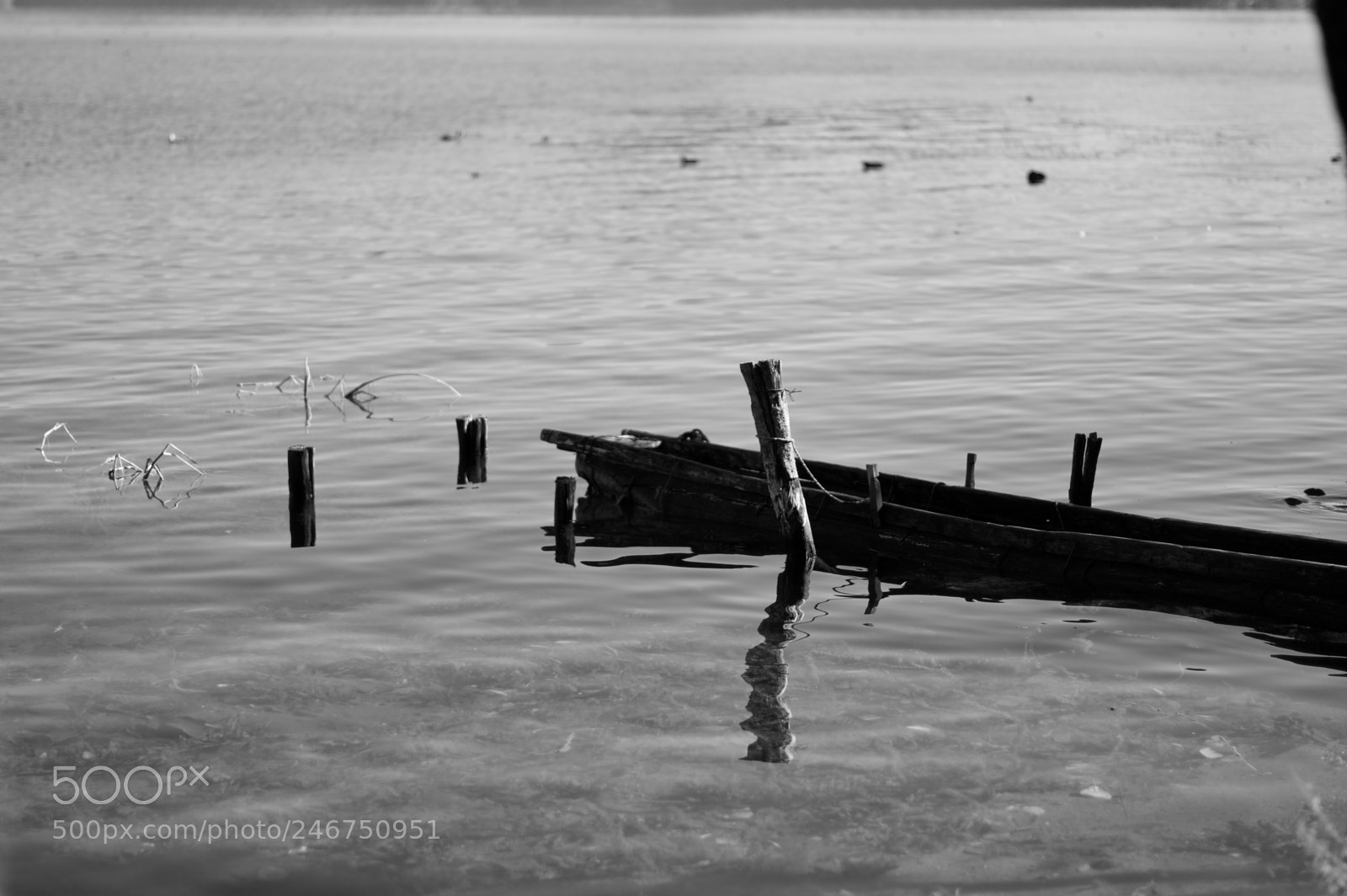 Pentax K-3 sample photo. Lugu lake photography