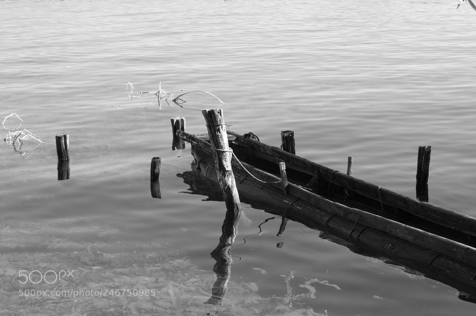 Pentax K-3 sample photo. Lugu lake photography