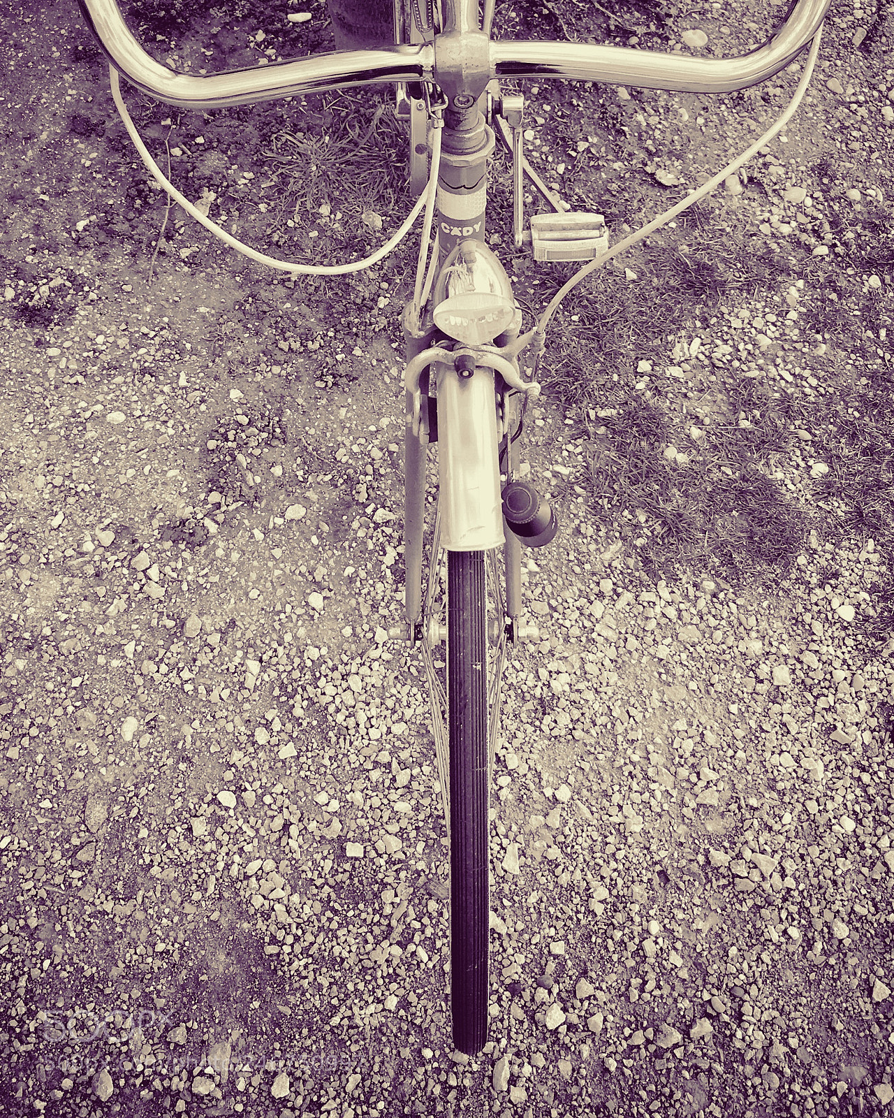 Apple iPhone 6s sample photo. Untitled photography