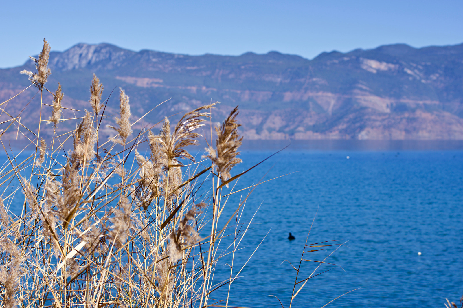 Pentax K-3 sample photo. Lugu lake photography