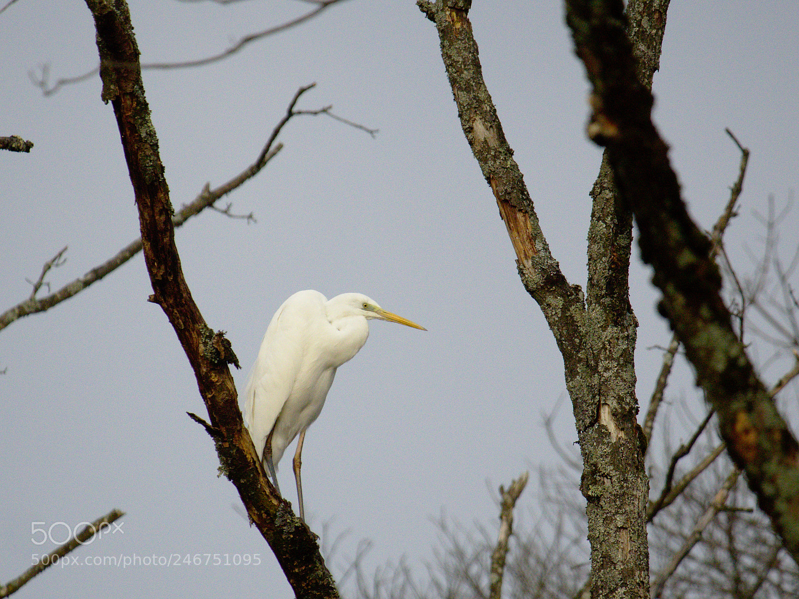 Olympus OM-D E-M10 sample photo. Above the pond photography