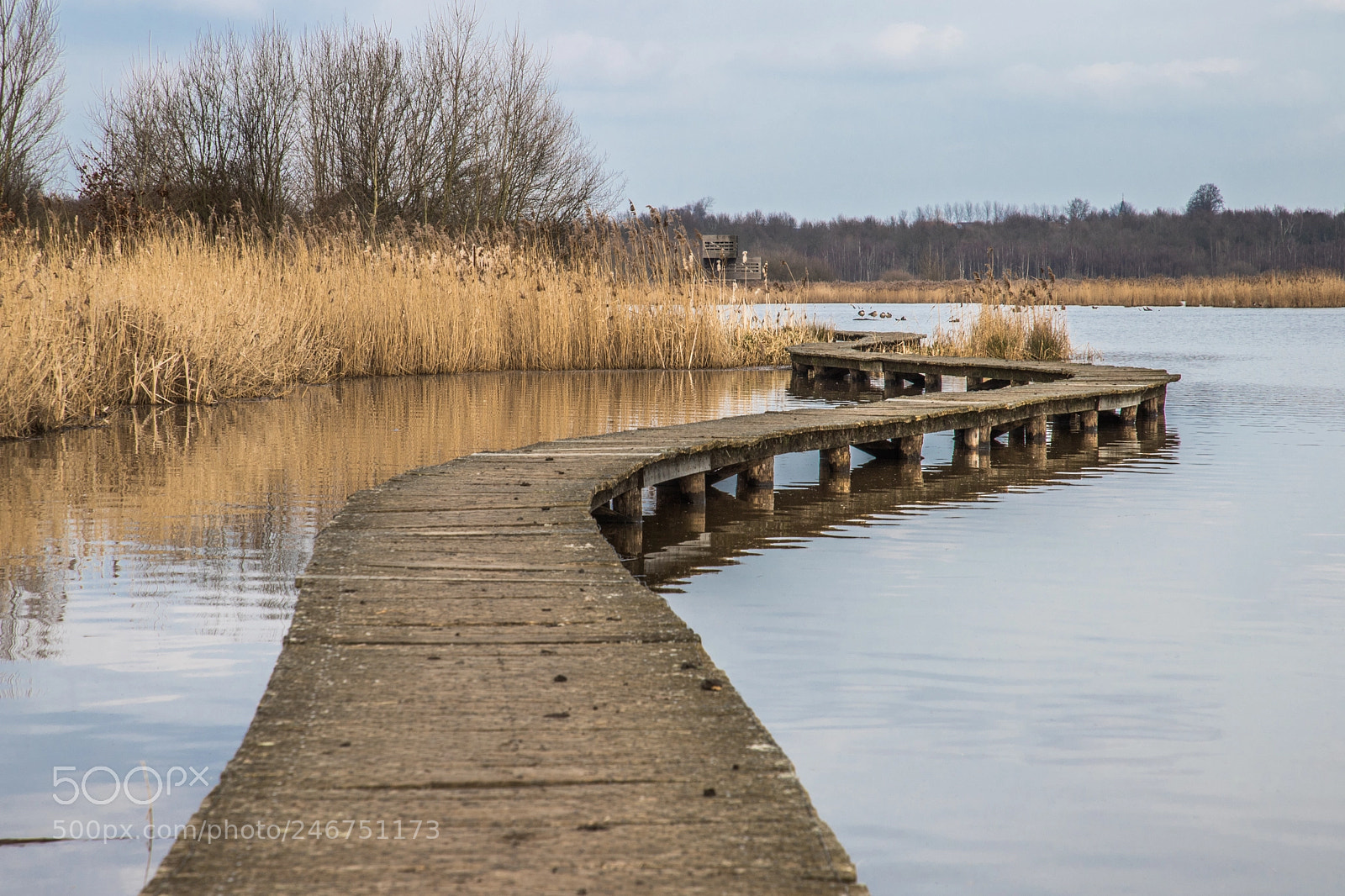 Canon EOS 6D Mark II sample photo. The wooden path photography