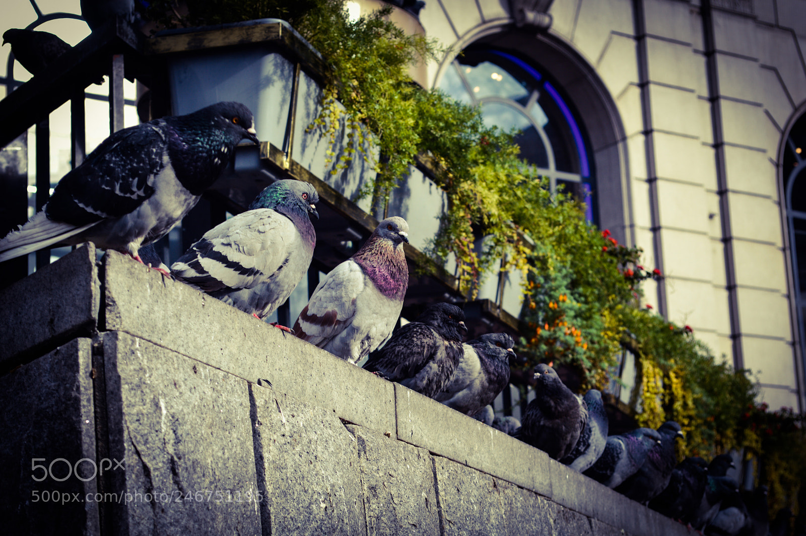 Nikon D3200 sample photo. Siesta time in the photography