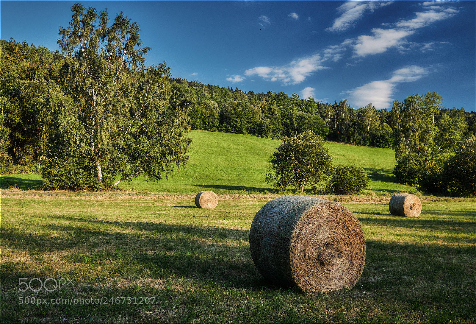 Fujifilm X-T1 sample photo. Summer photography