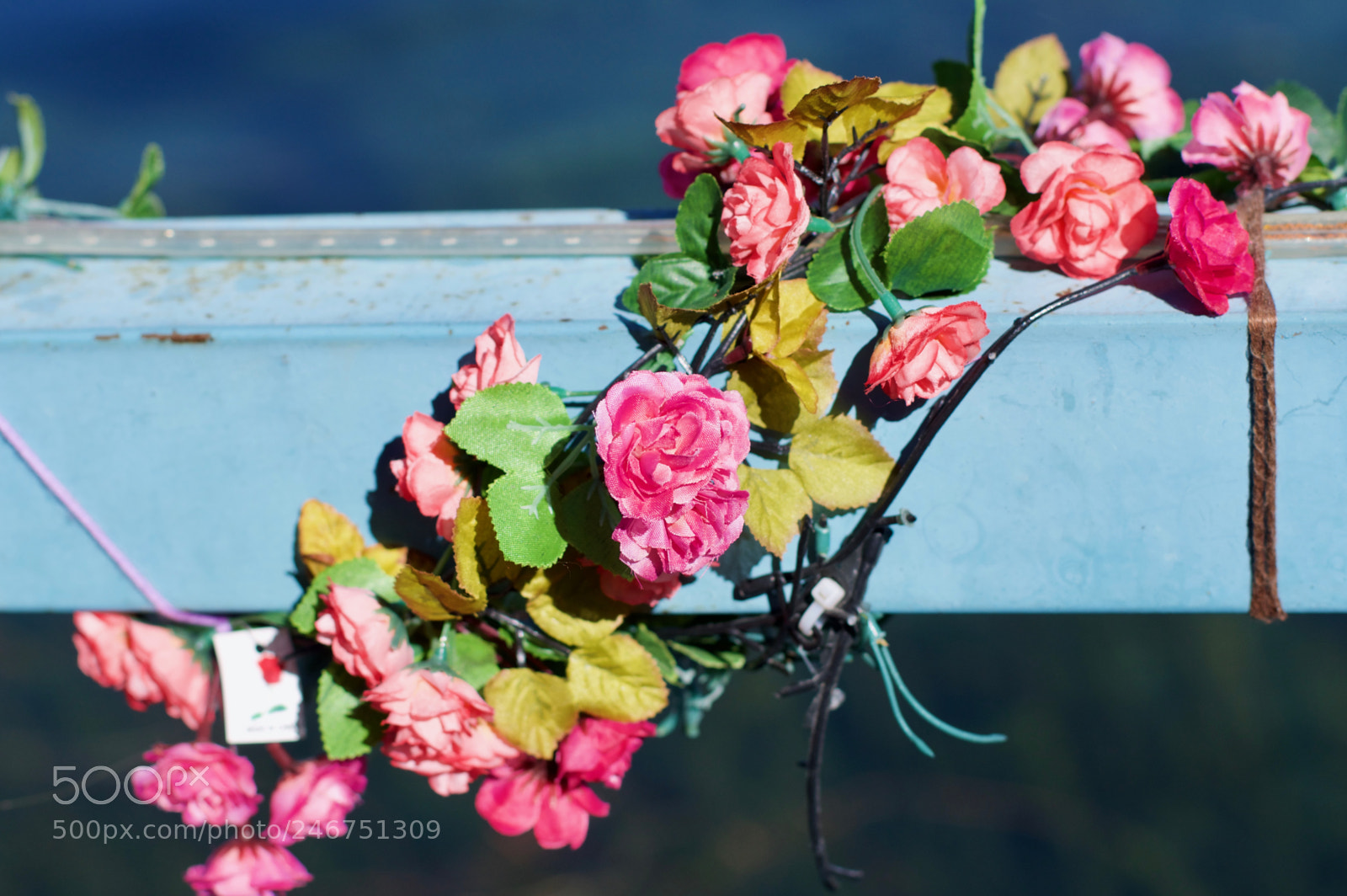 Pentax K-3 sample photo. Lugu lake photography