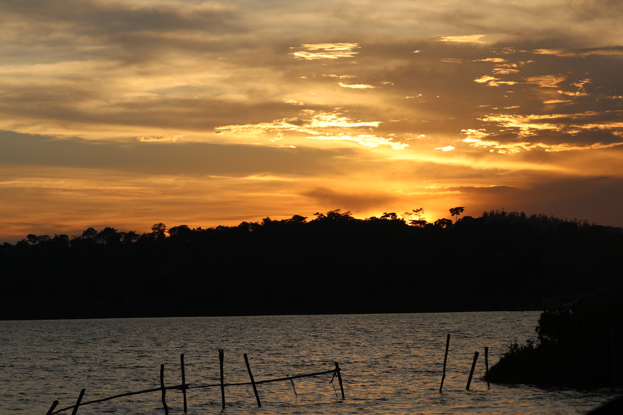 Canon EF-S 55-250mm F4-5.6 IS STM sample photo. Sunset behind a tree photography