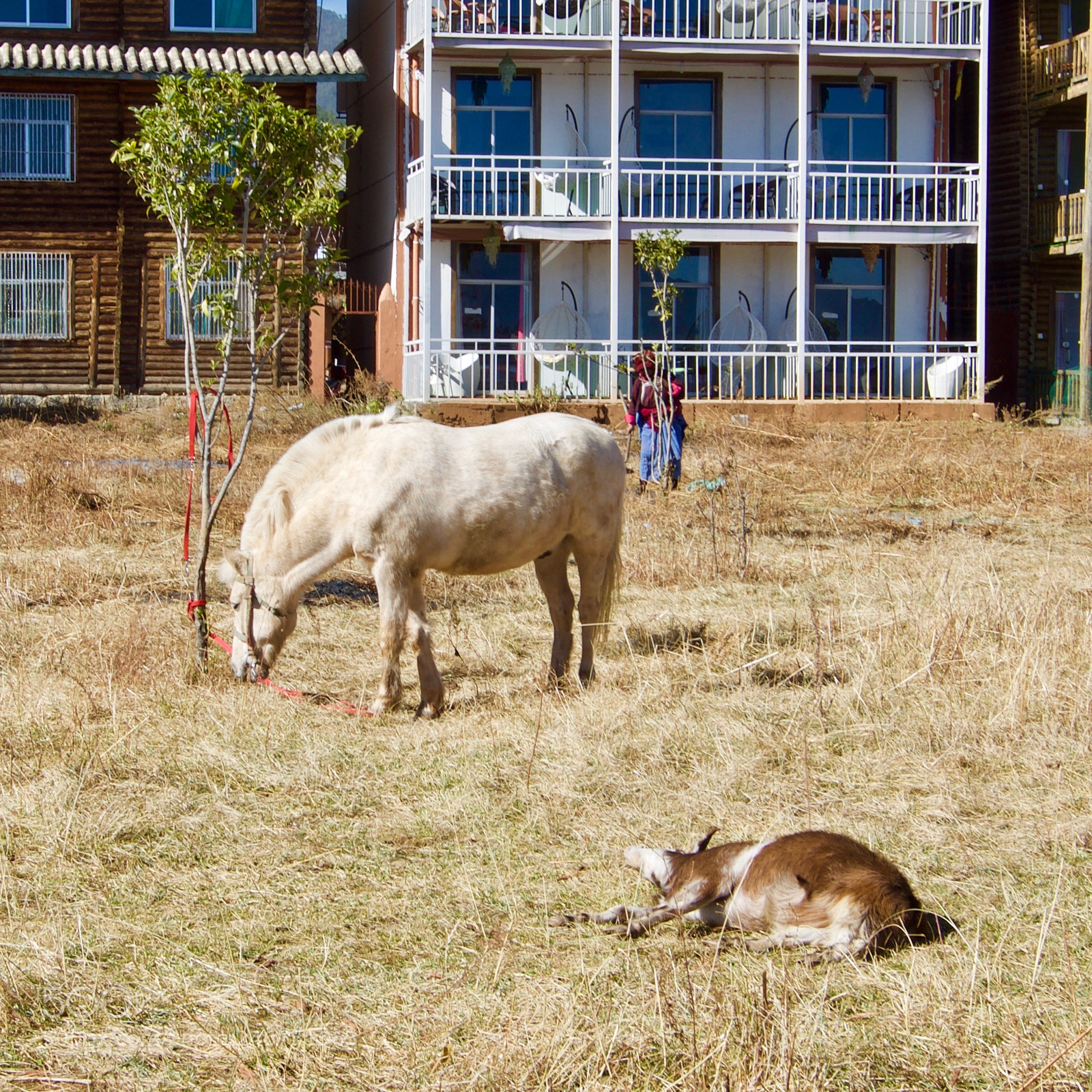 Pentax K-3 sample photo. Lugu lake photography