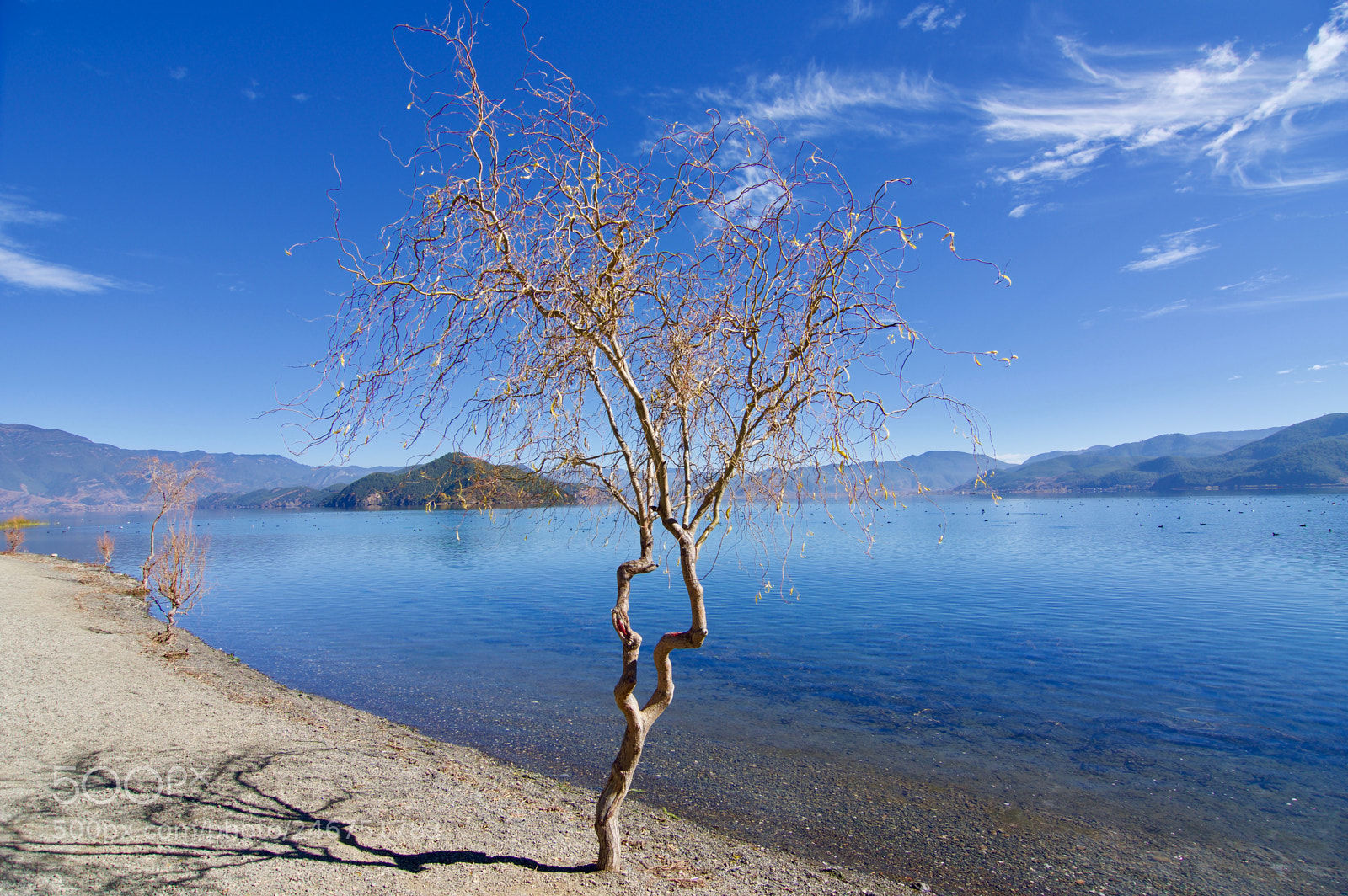 Pentax K-3 sample photo. Lugu lake photography