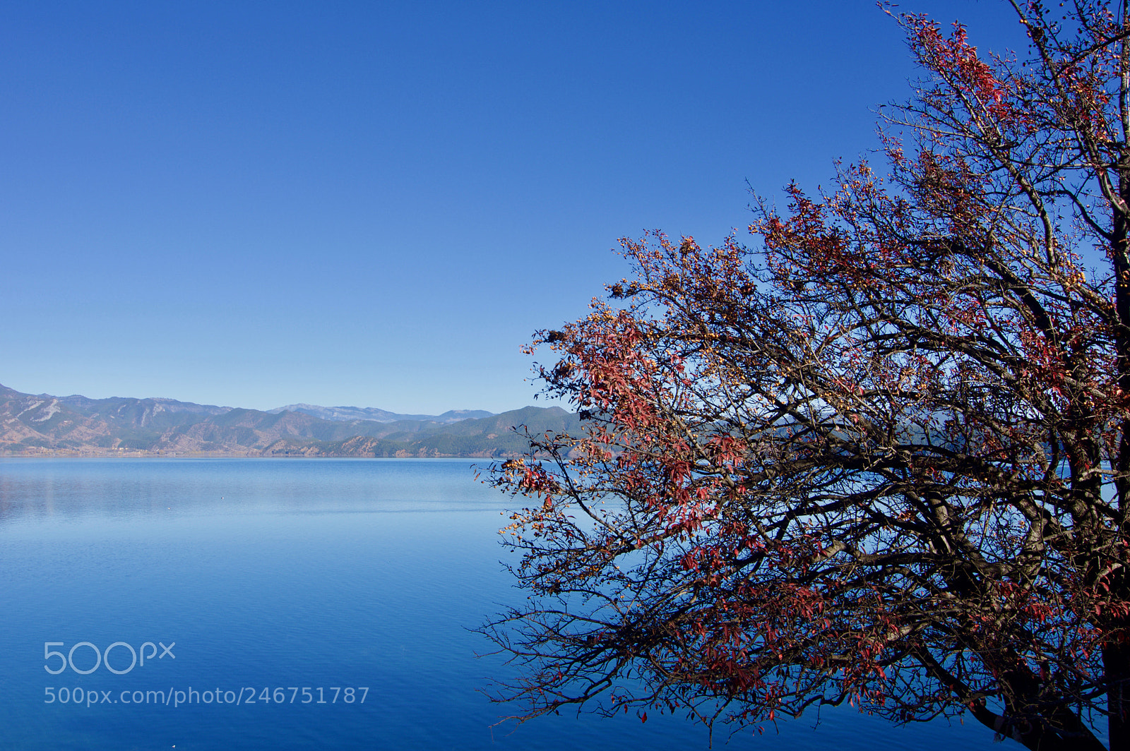 Pentax K-3 sample photo. Lugu lake photography