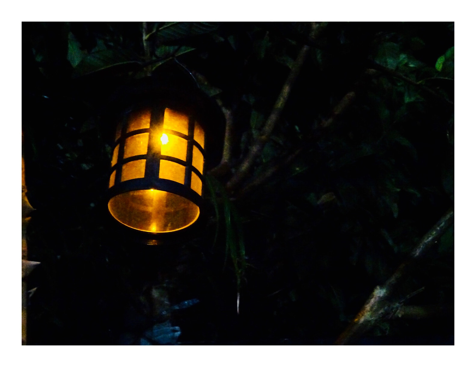 Sony DSC-QX30 sample photo. Light up the dark photography